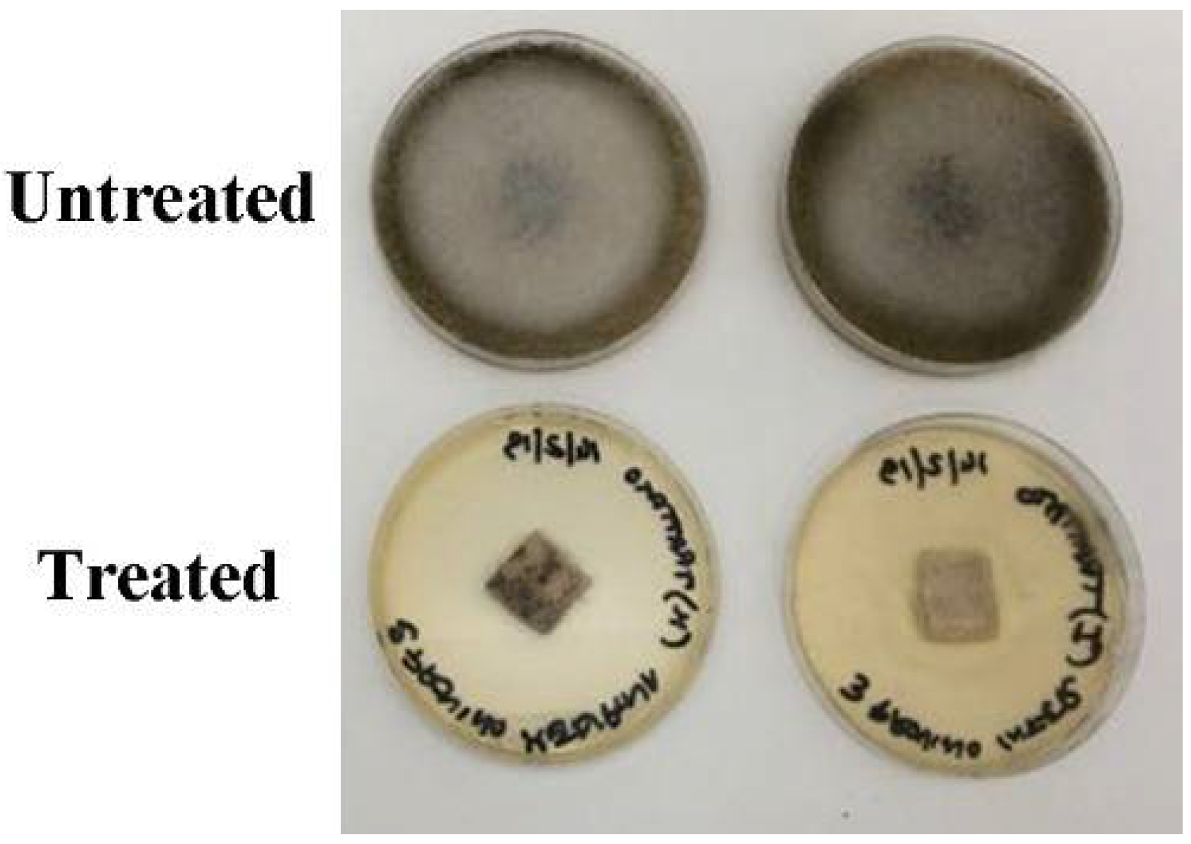 Microorganisms 10 00205 g002