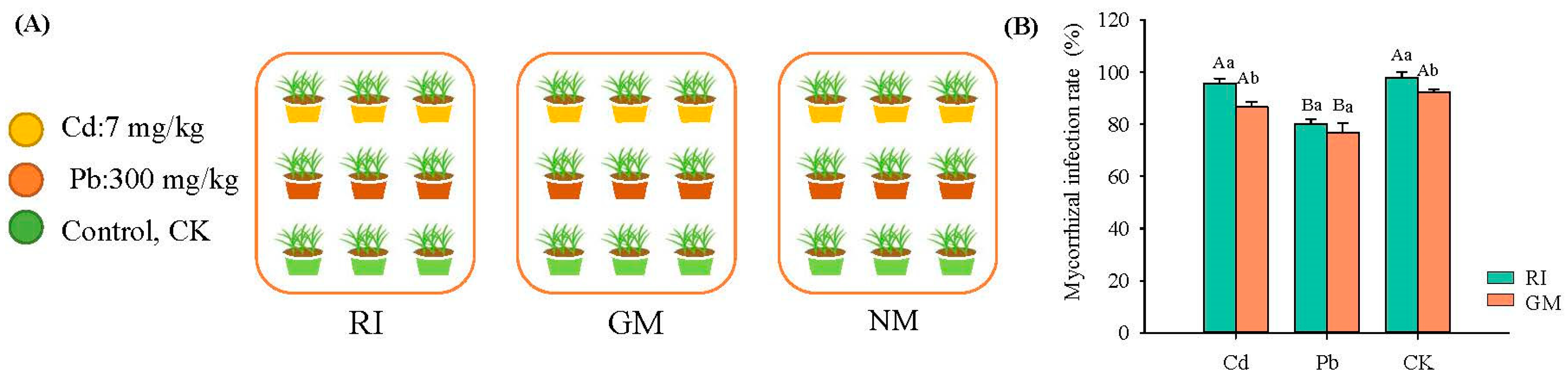 Microorganisms 10 00206 g001 550