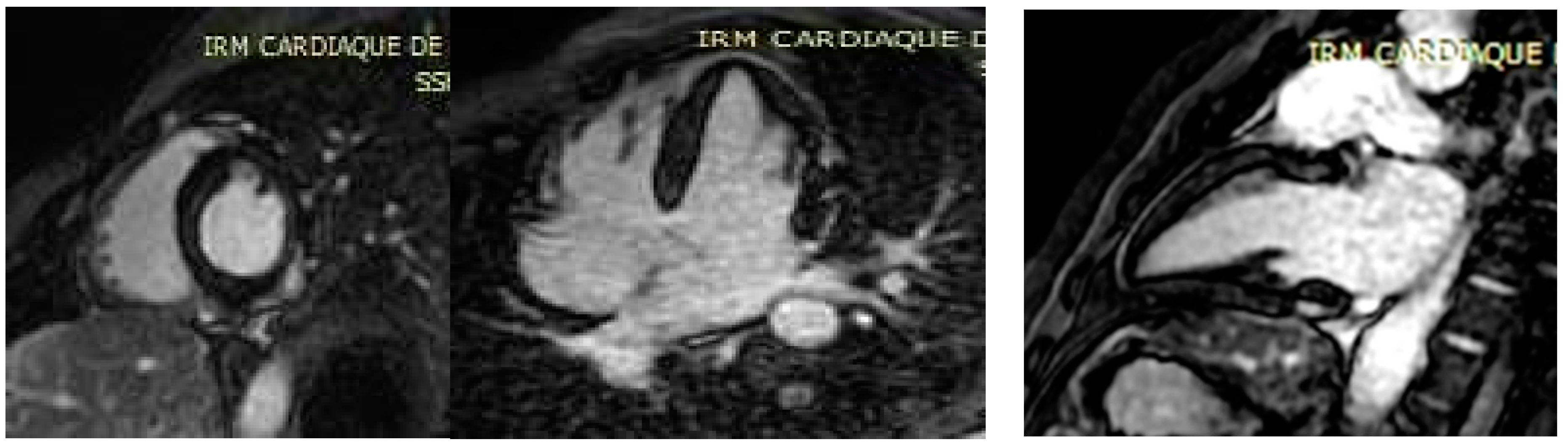 Microorganisms 10 00208 g003 550