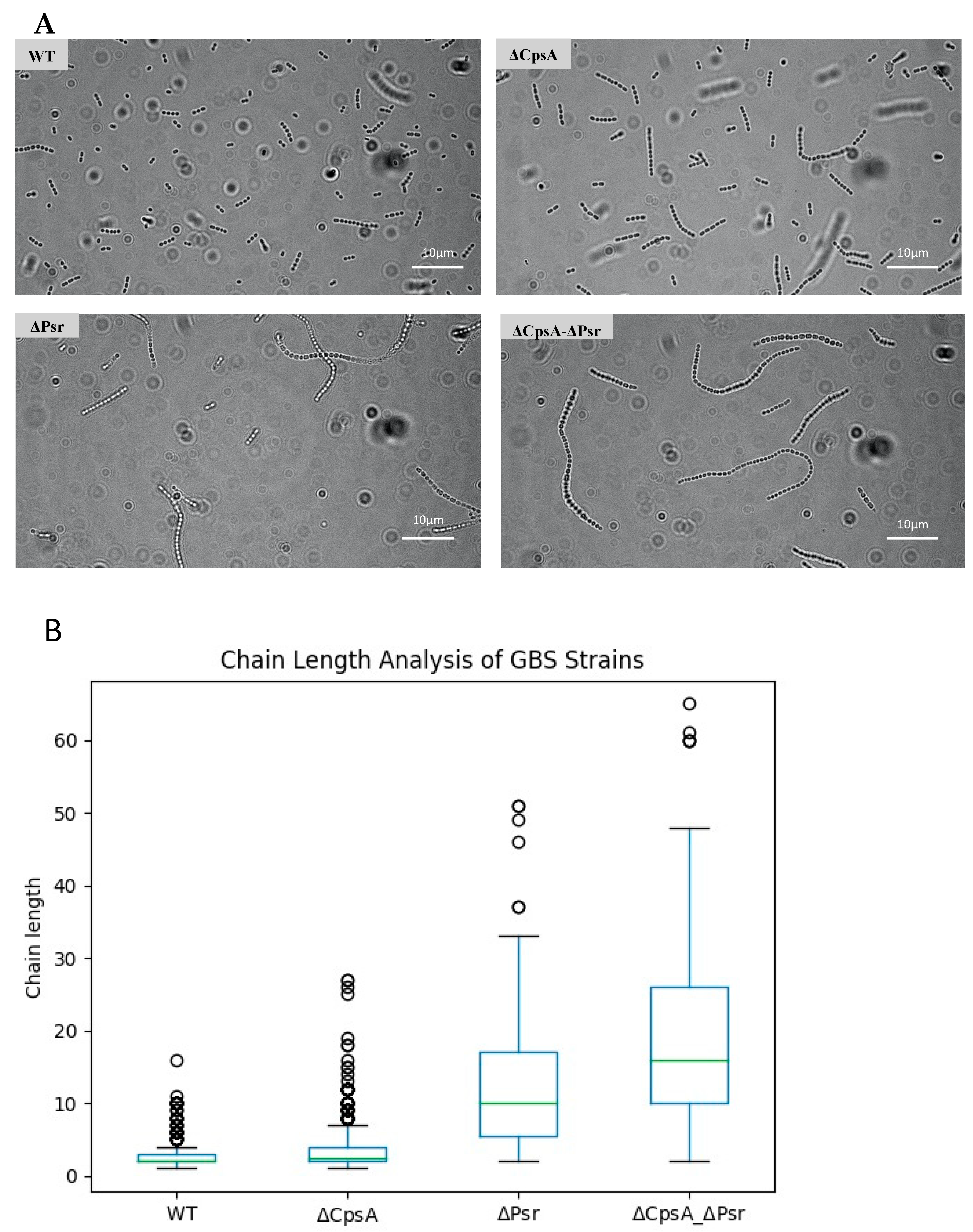 Microorganisms 10 00217 g003 550
