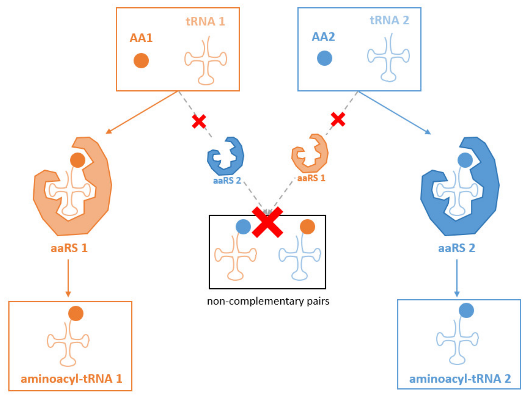Microorganisms 10 00226 g003 Microorganisms 10 00226 g003
