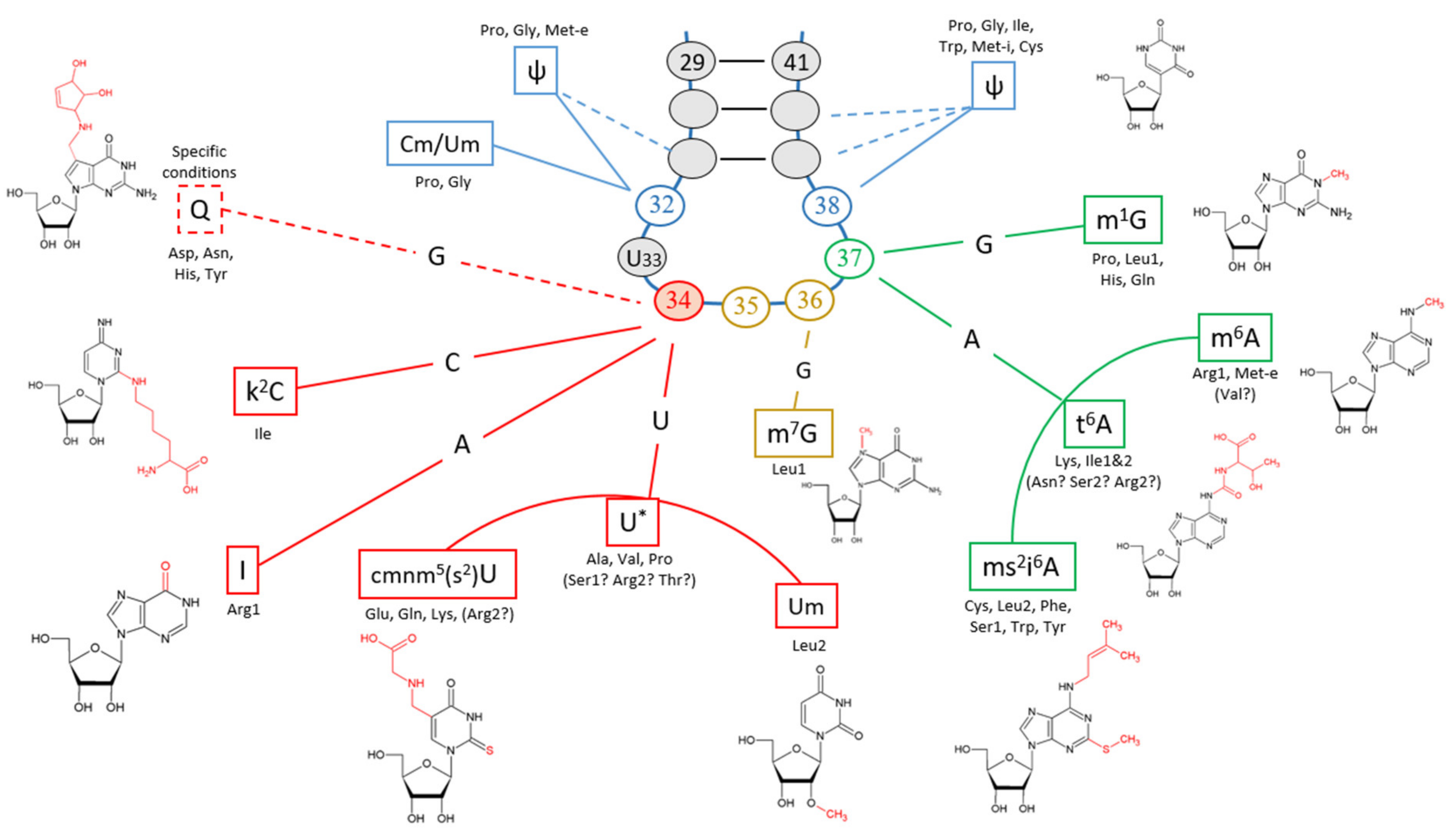 Microorganisms 10 00226 g004 Microorganisms 10 00226 g004