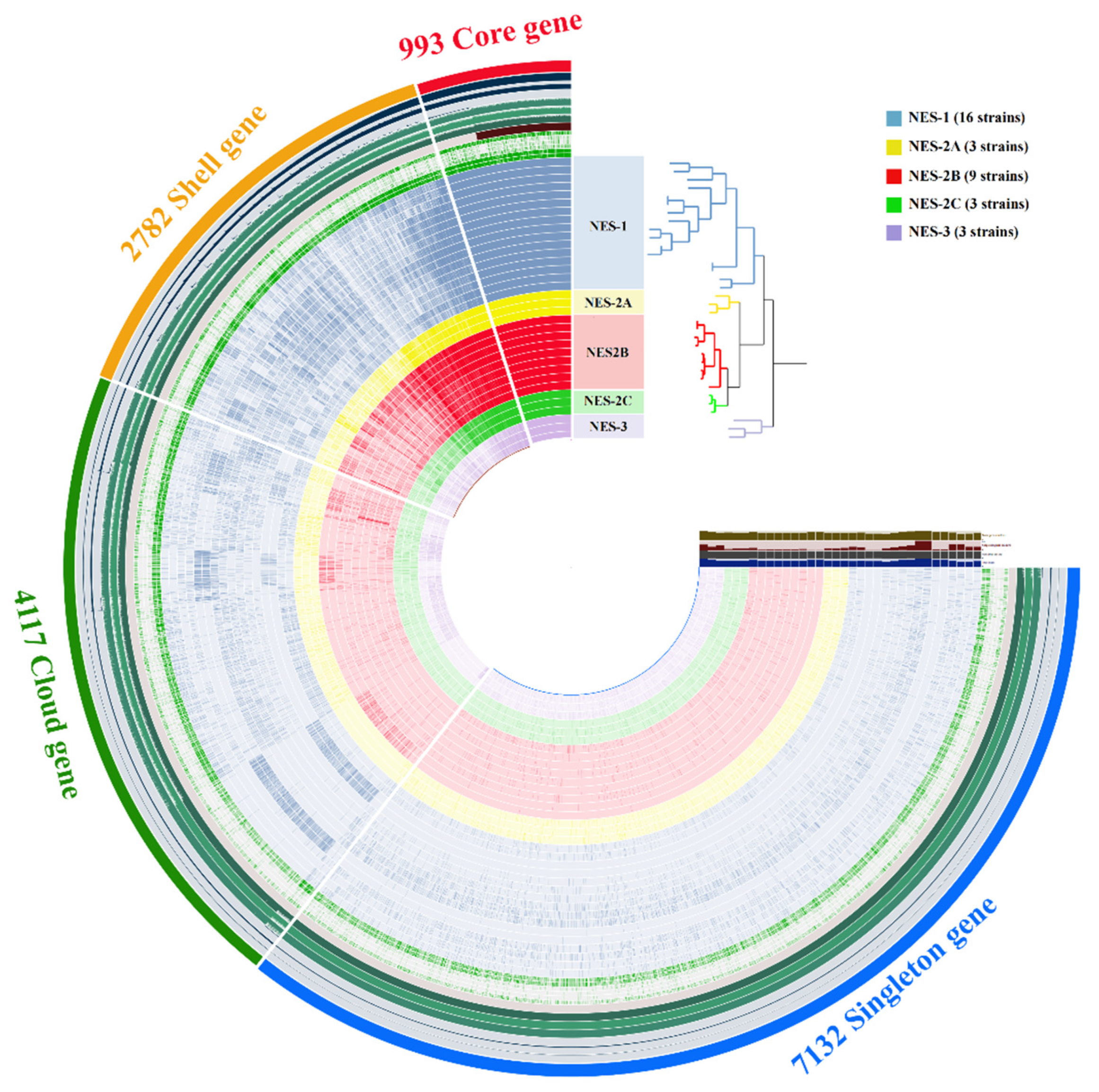 Microorganisms 10 00233 g003 550