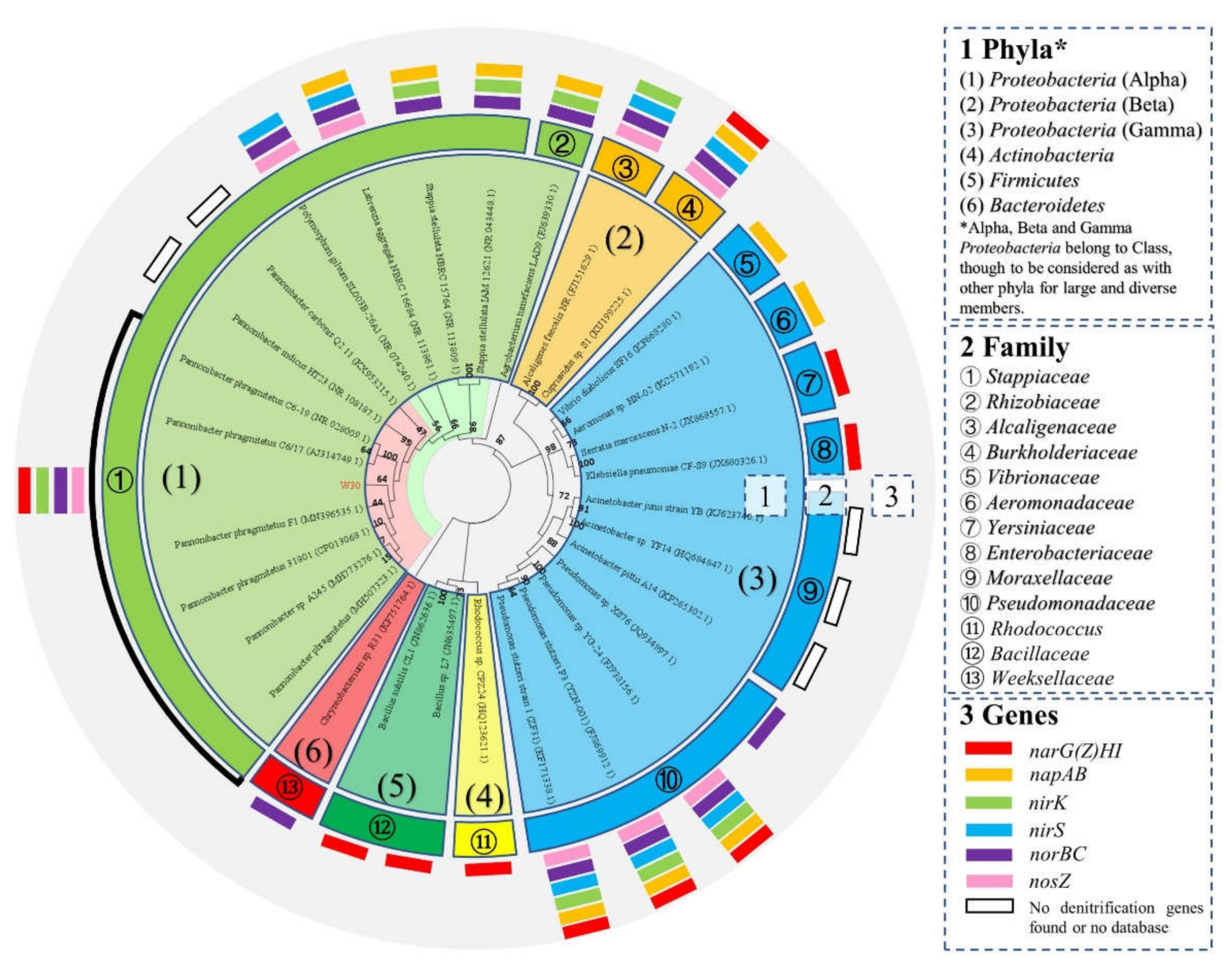 Microorganisms 10 00235 g002