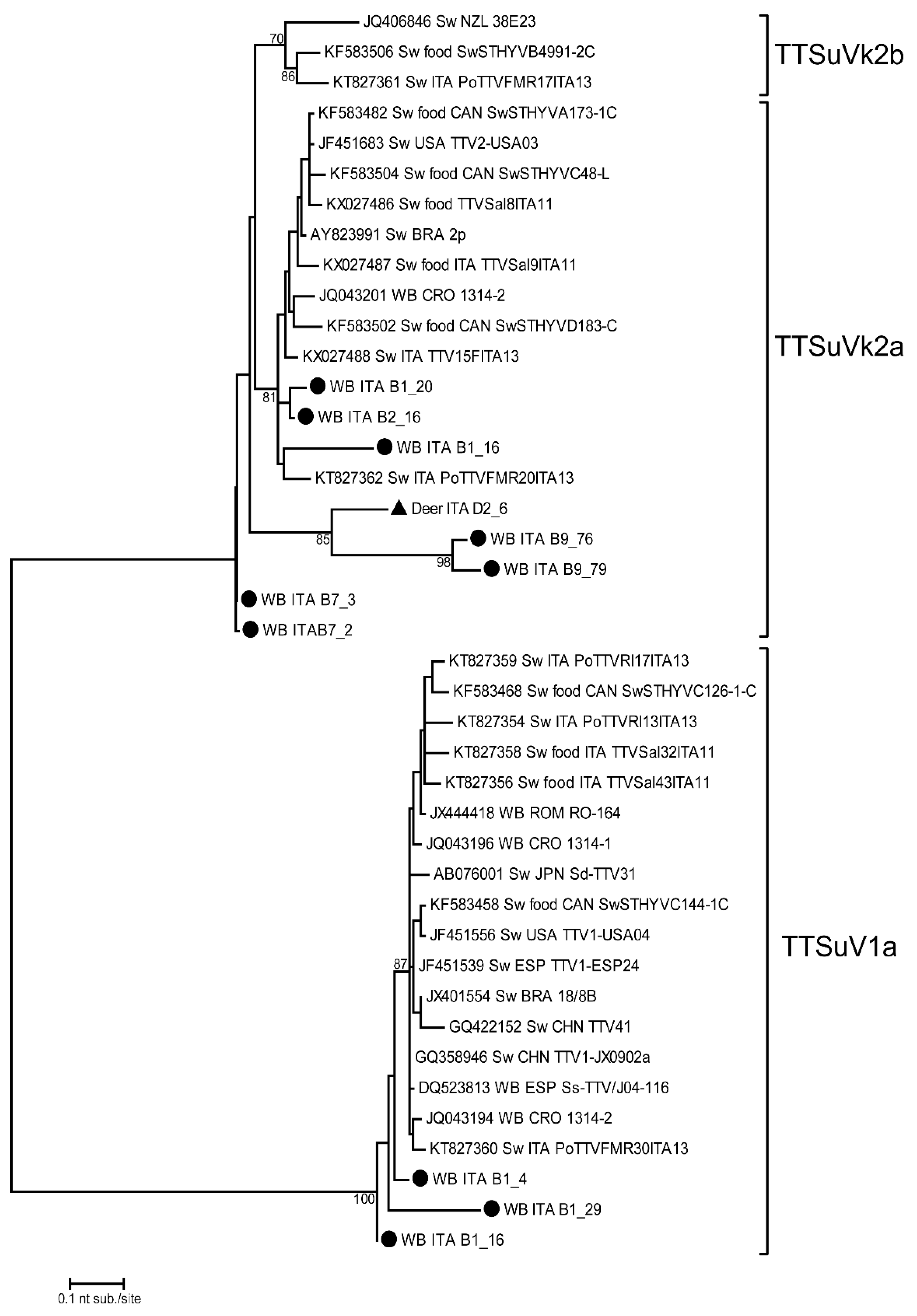 Microorganisms 10 00242 g001