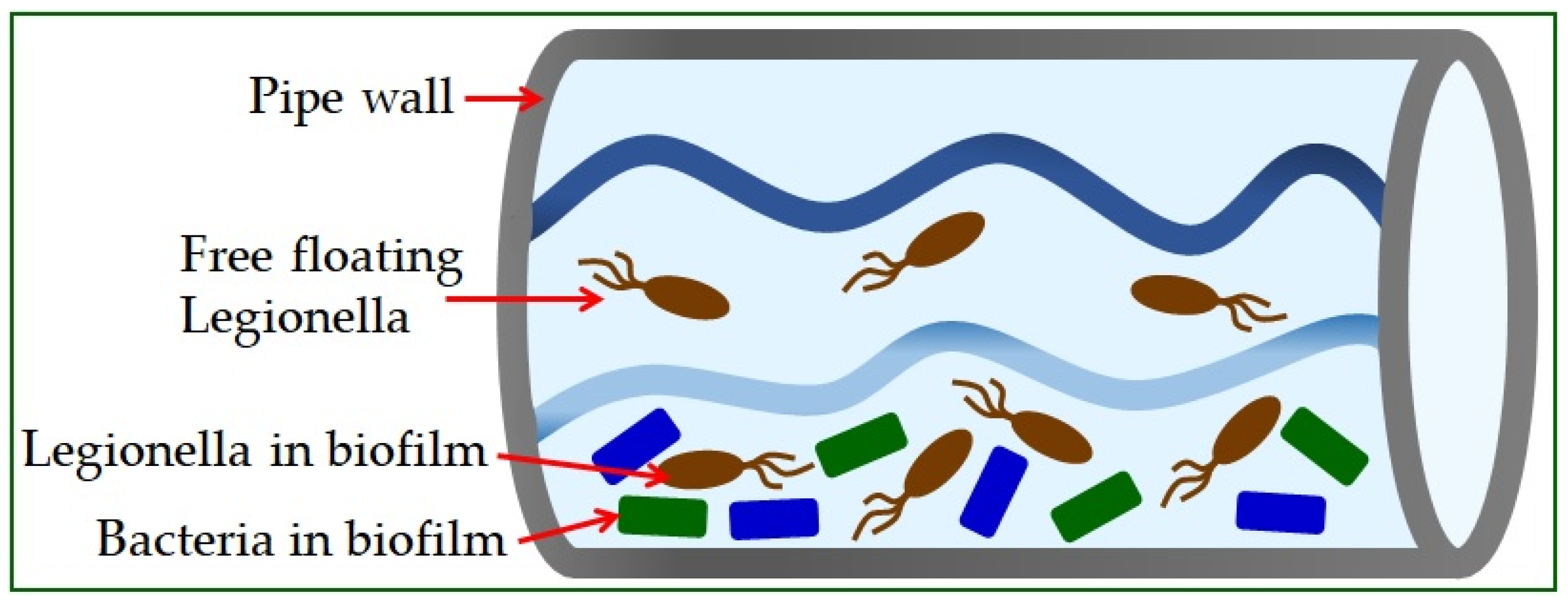 Microorganisms | Free Full-Text | Legionella pneumophila&mdash;Virulence Factors and the Possibility of Infection in Dental Practice