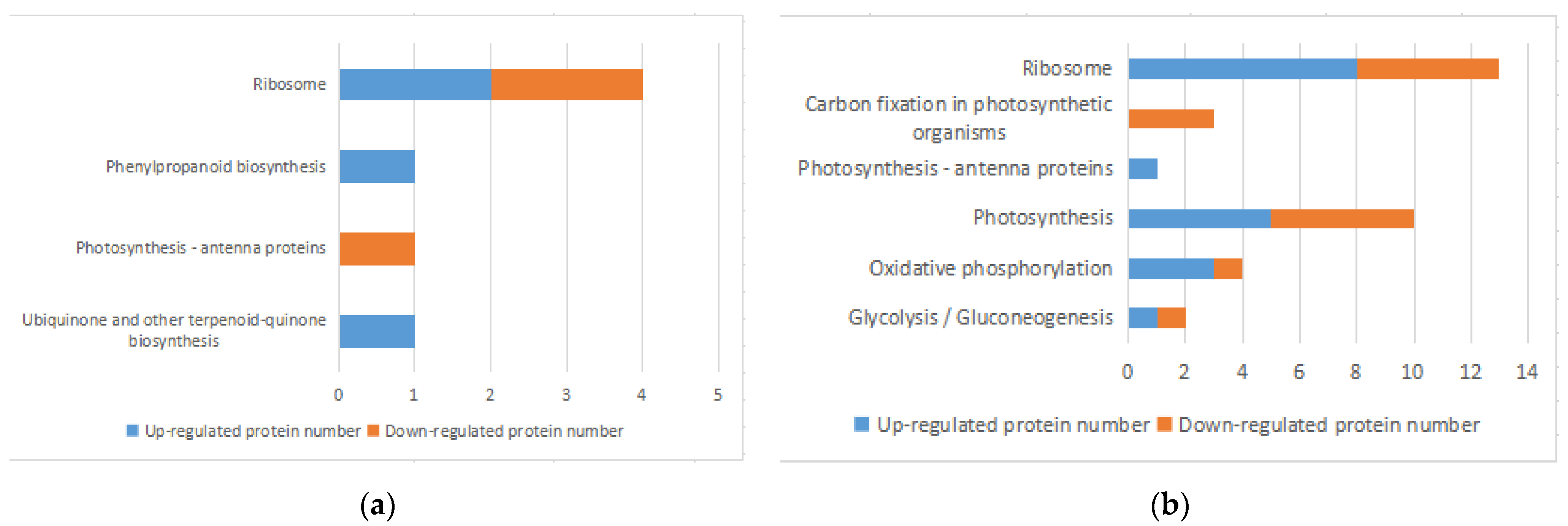 Microorganisms 10 00257 g004
