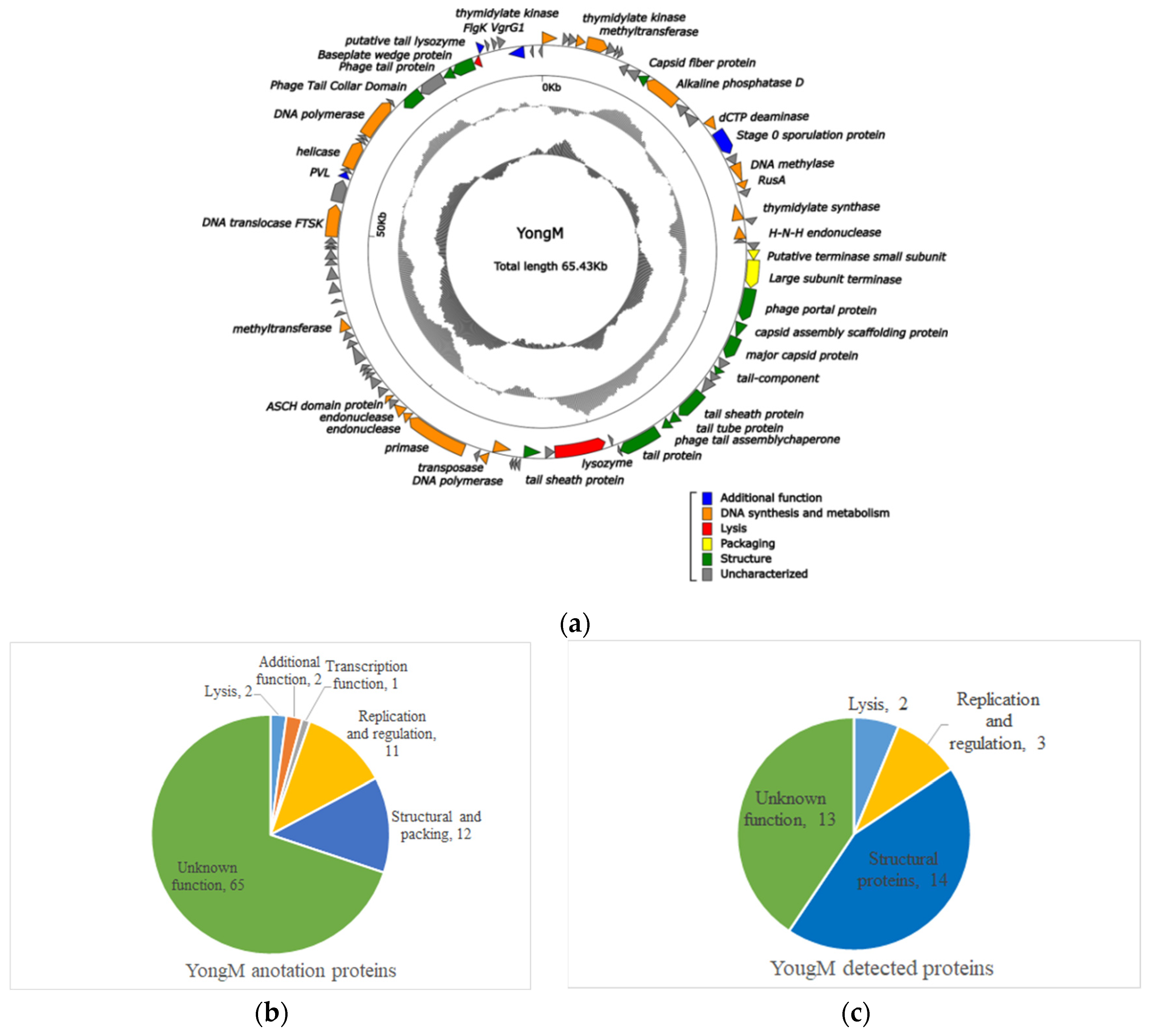 Microorganisms 10 00257 g005