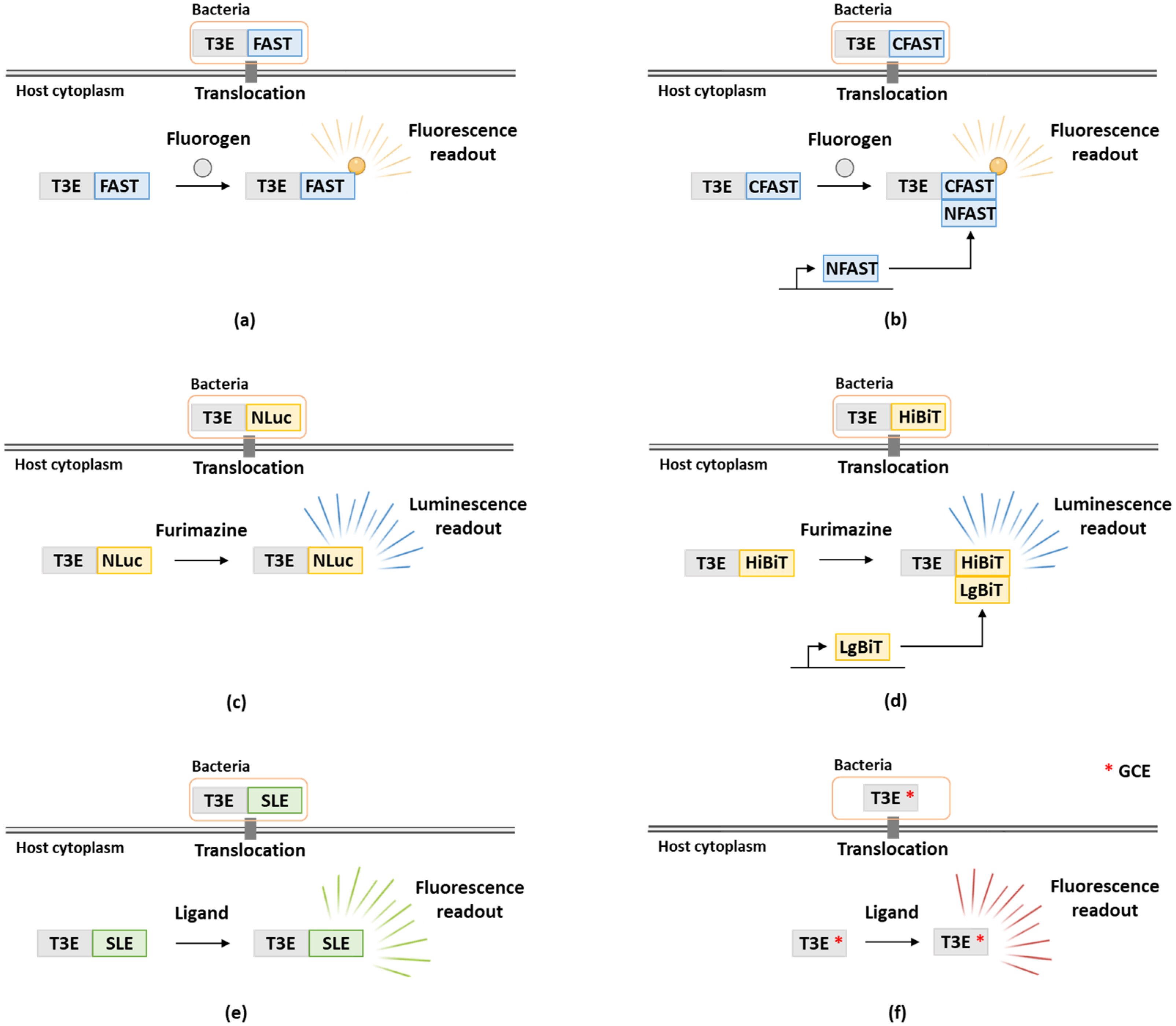 Microorganisms 10 00260 g001 550