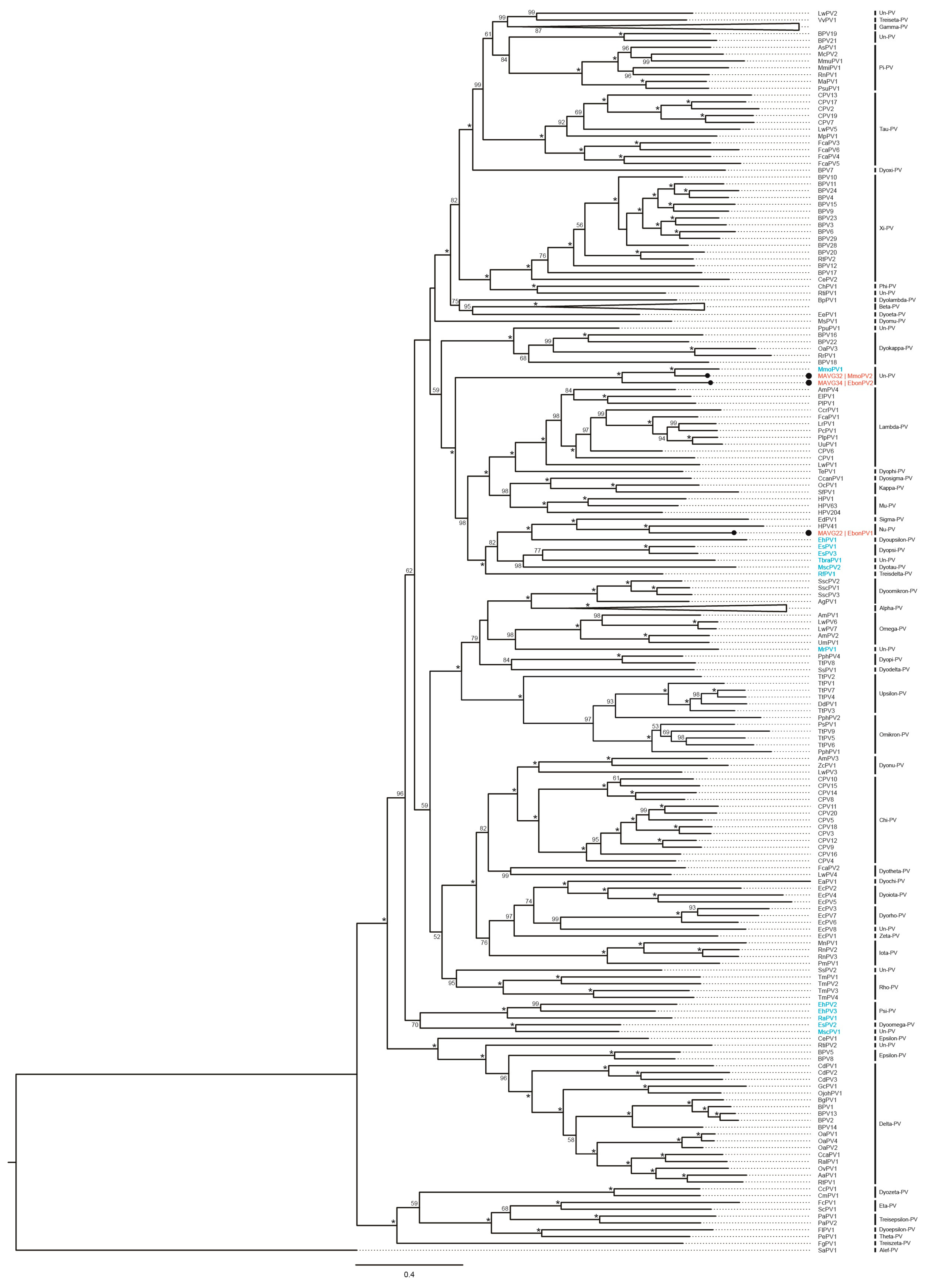 Microorganisms 10 00266 g004 Microorganisms 10 00266 g004