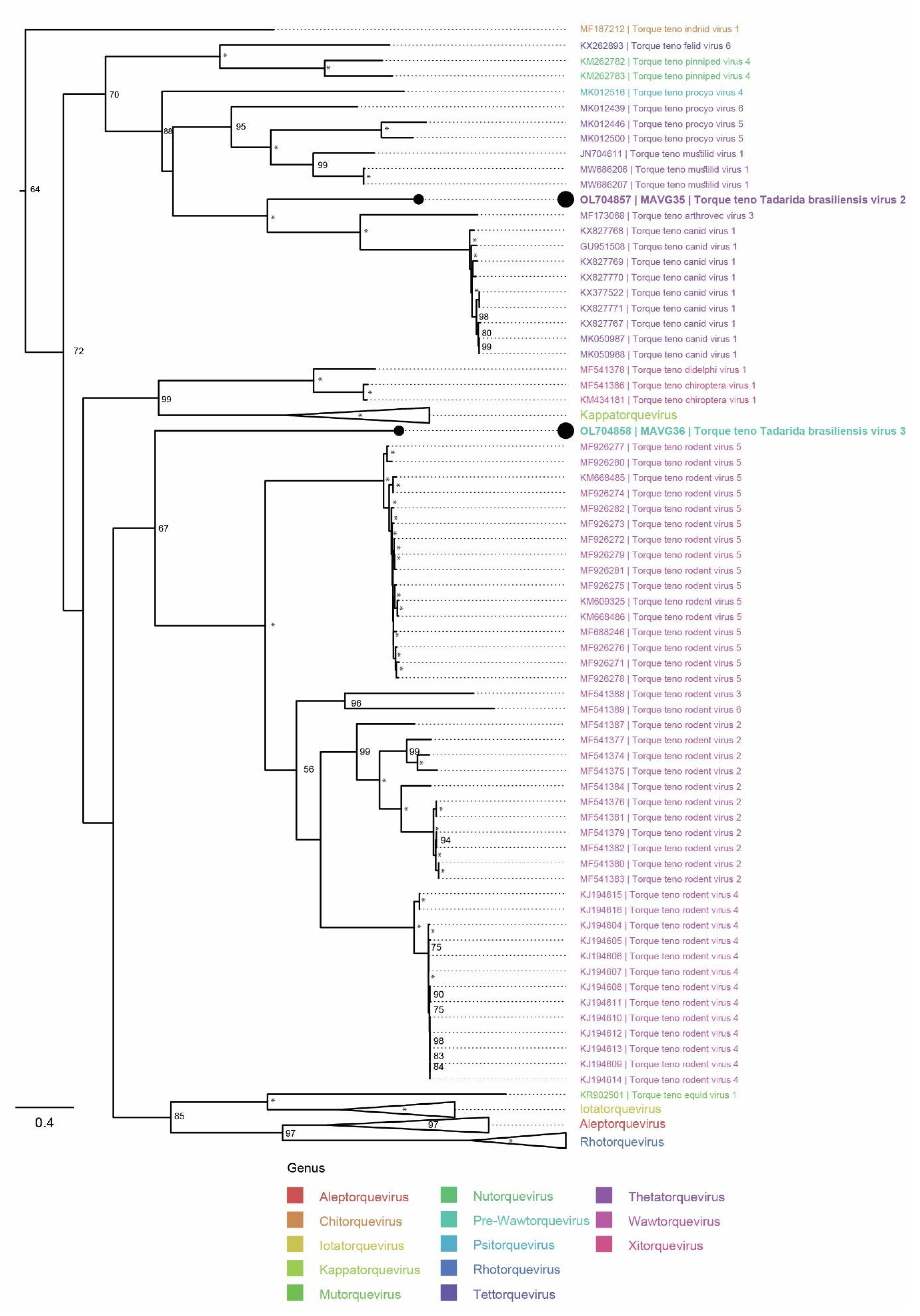 Microorganisms 10 00266 g005 Microorganisms 10 00266 g005