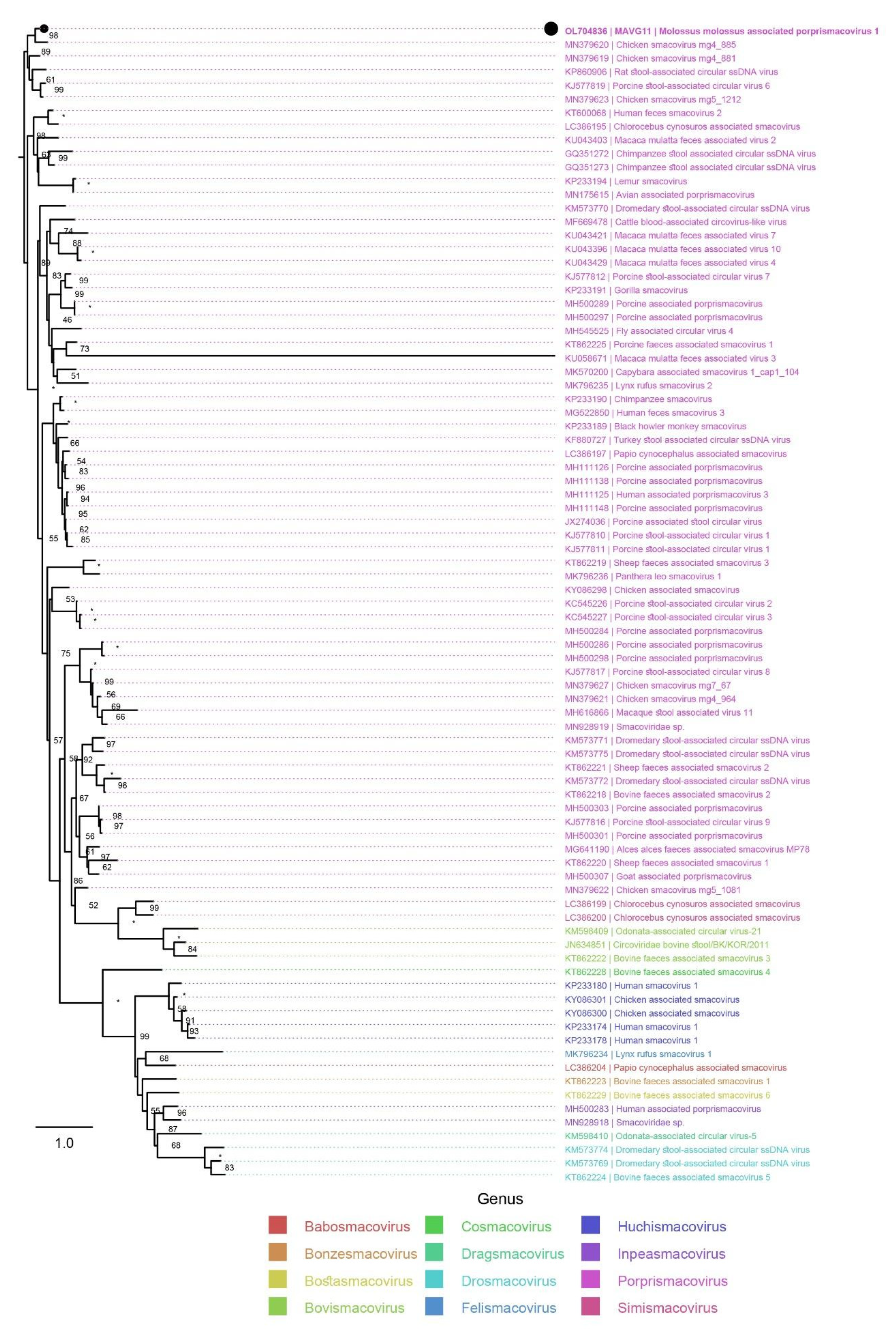 Microorganisms 10 00266 g006 Microorganisms 10 00266 g006