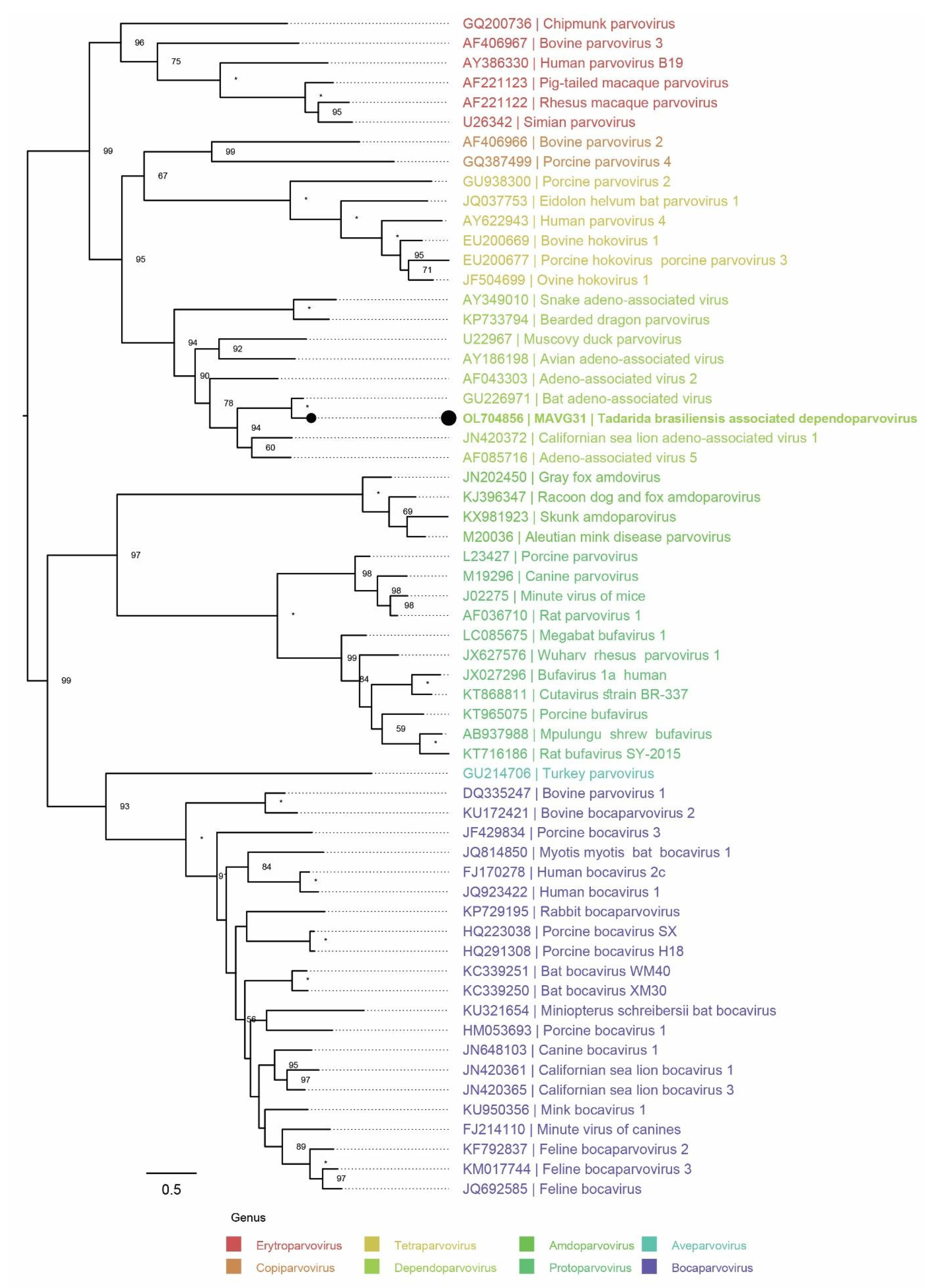 Microorganisms 10 00266 g007 Microorganisms 10 00266 g007