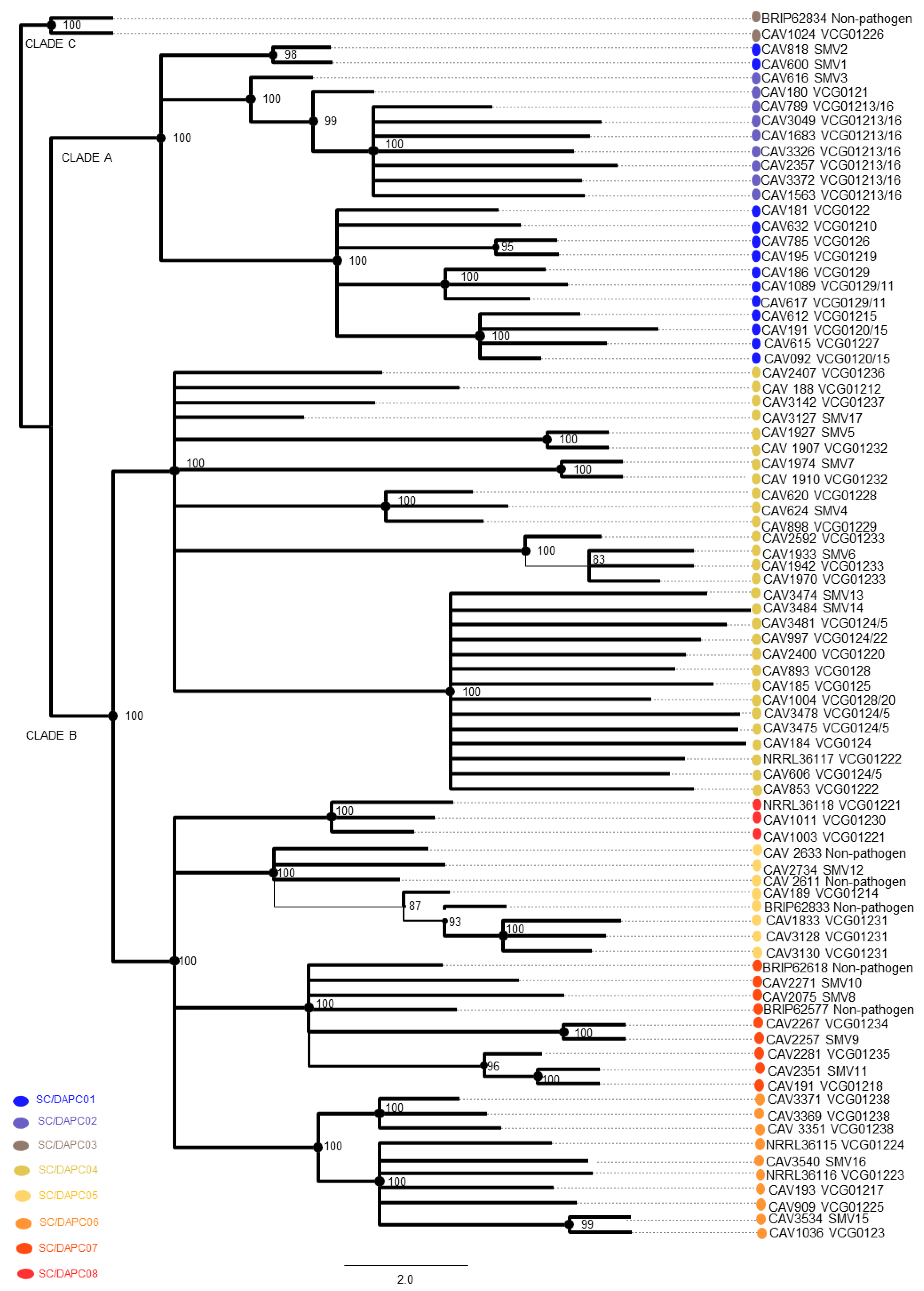 Microorganisms 10 00269 g003