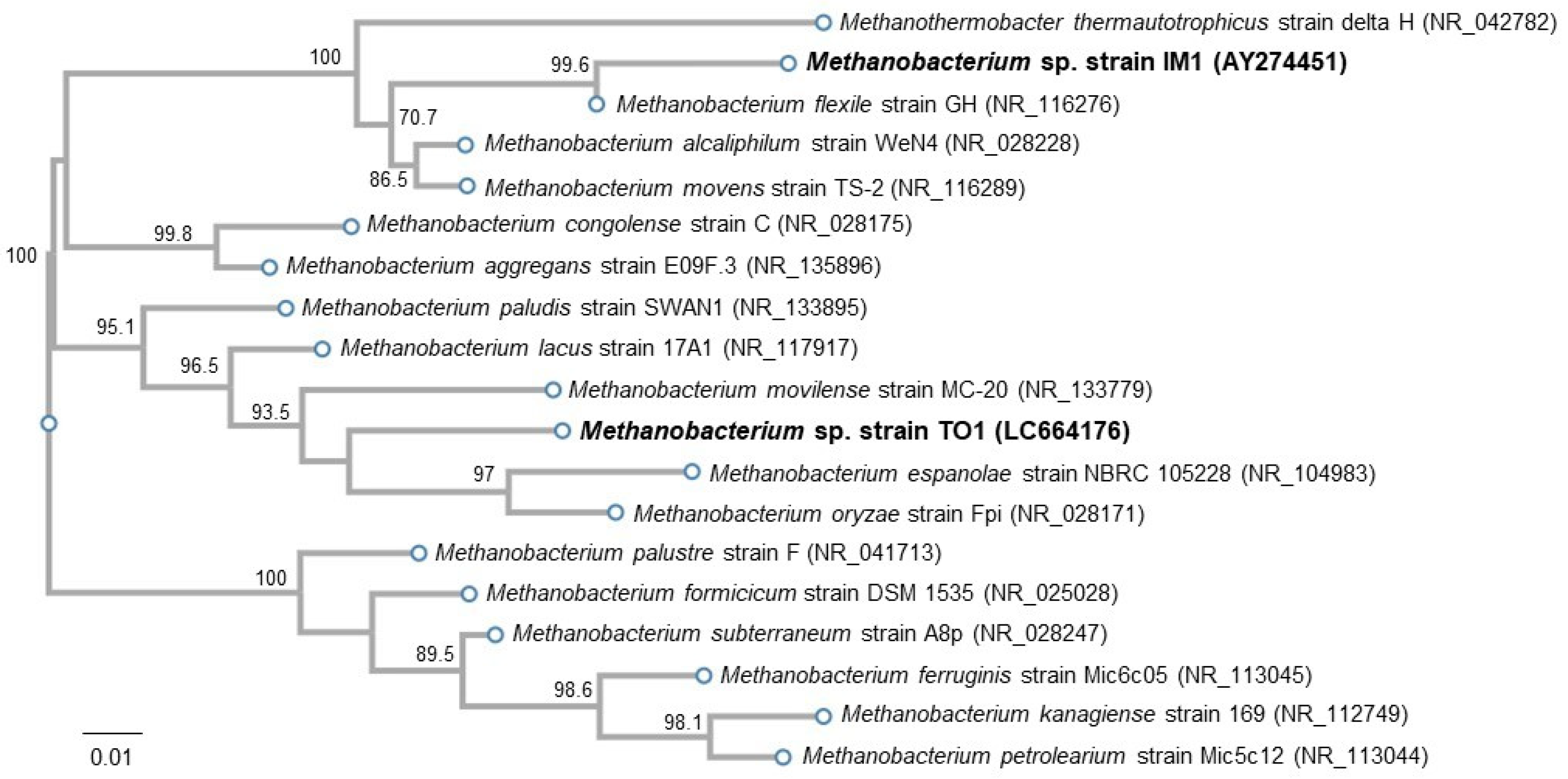 Microorganisms 10 00270 g004 550