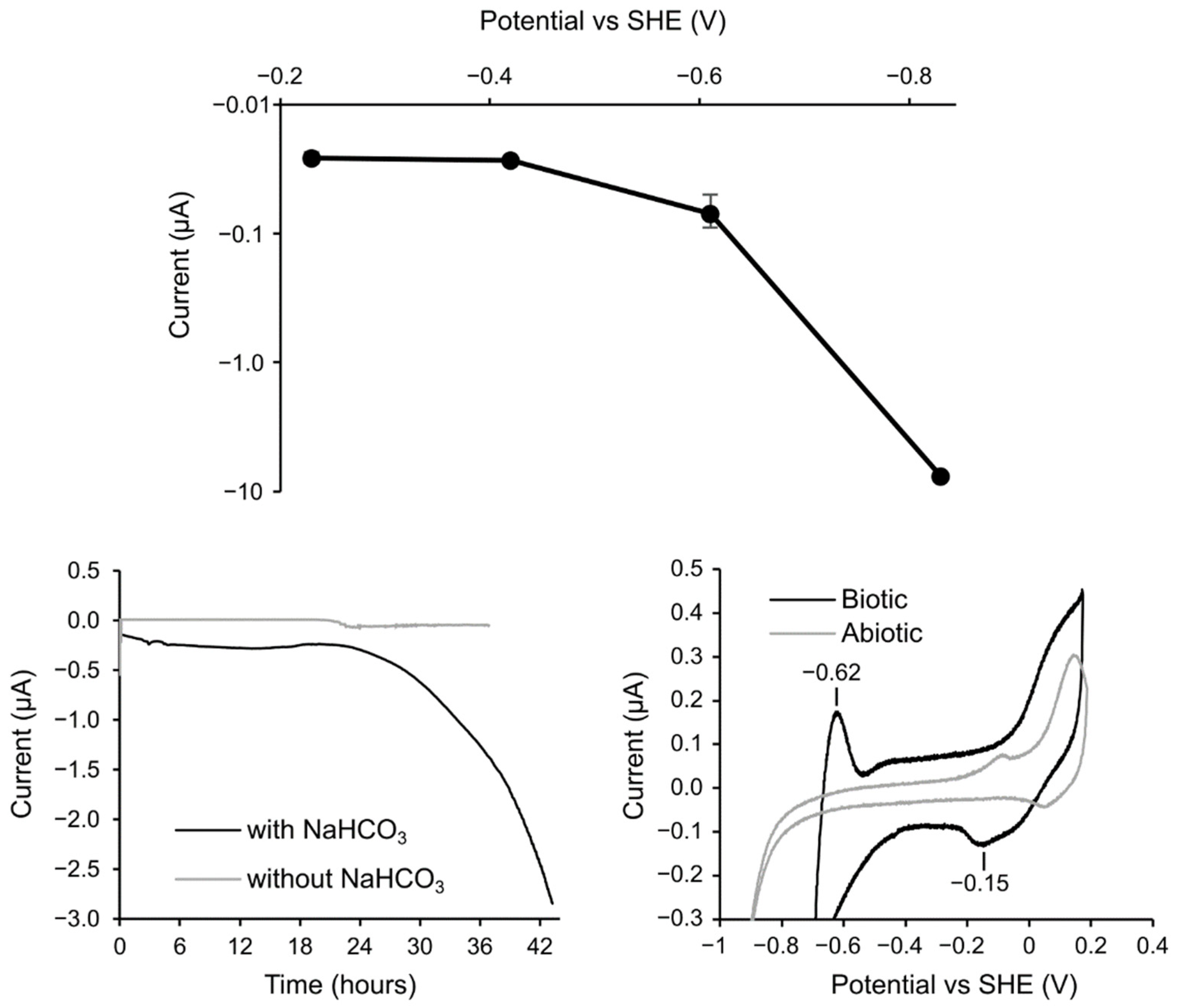 Microorganisms 10 00270 g007 550