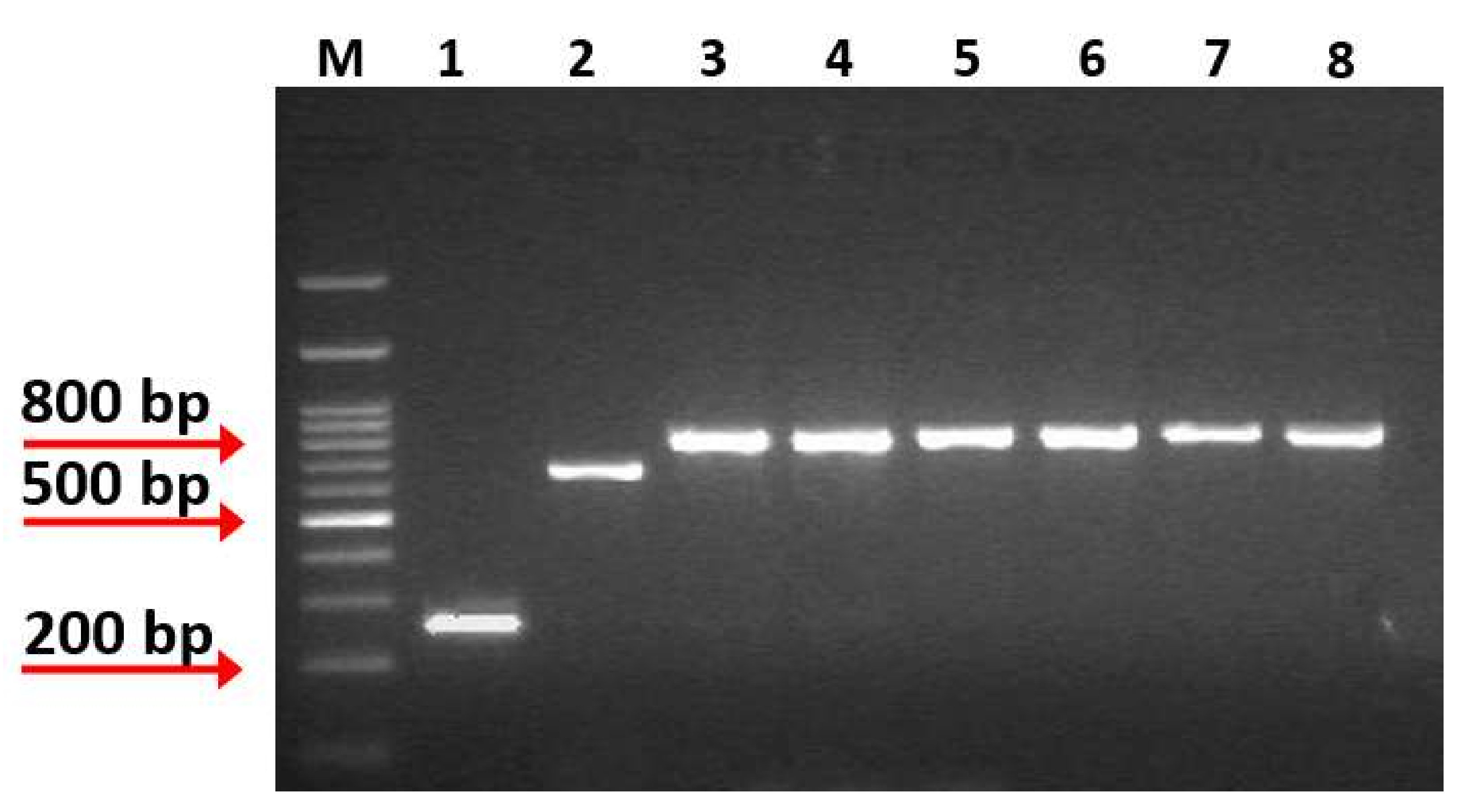 Microorganisms 10 00272 g001