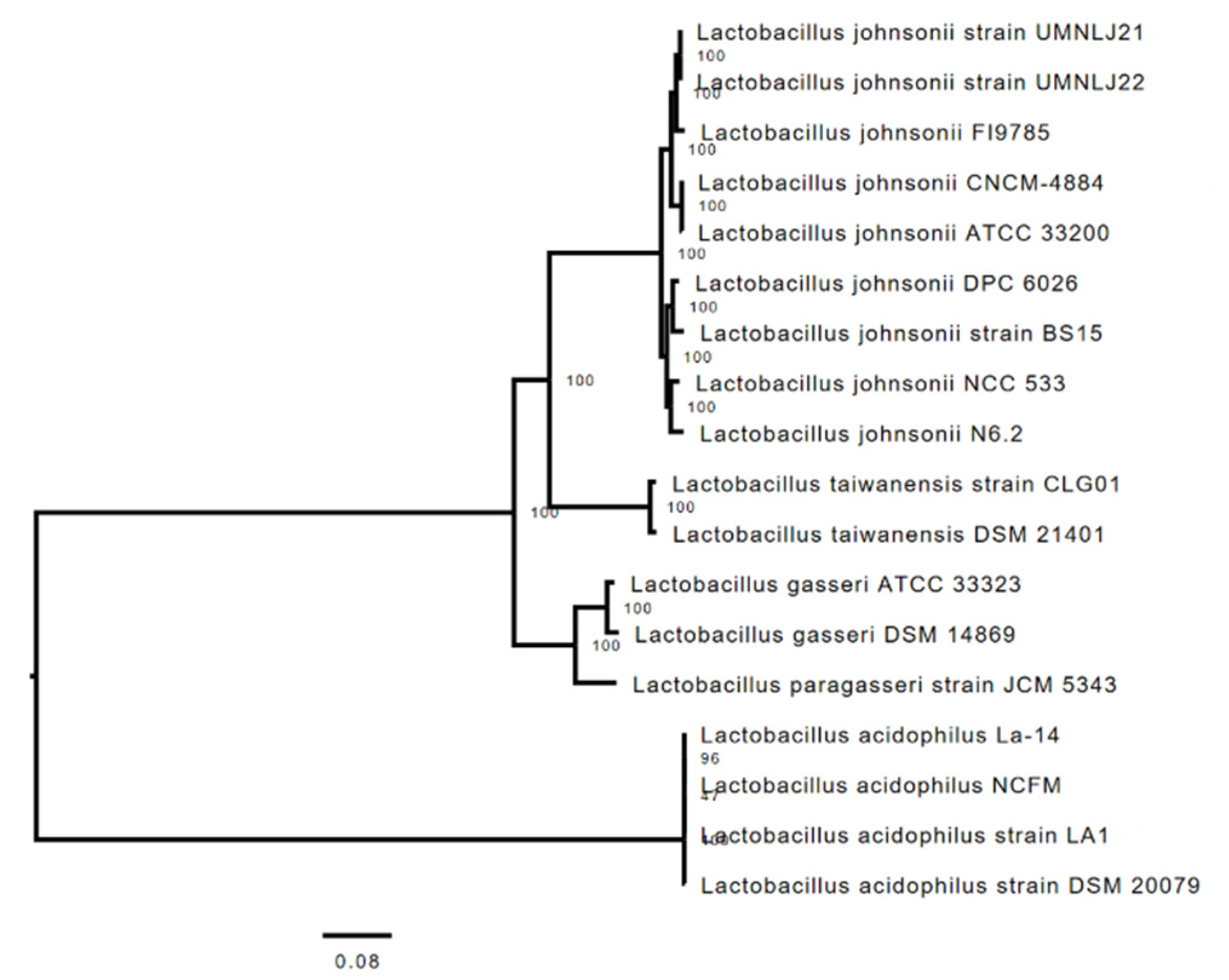 Microorganisms 10 00273 g002