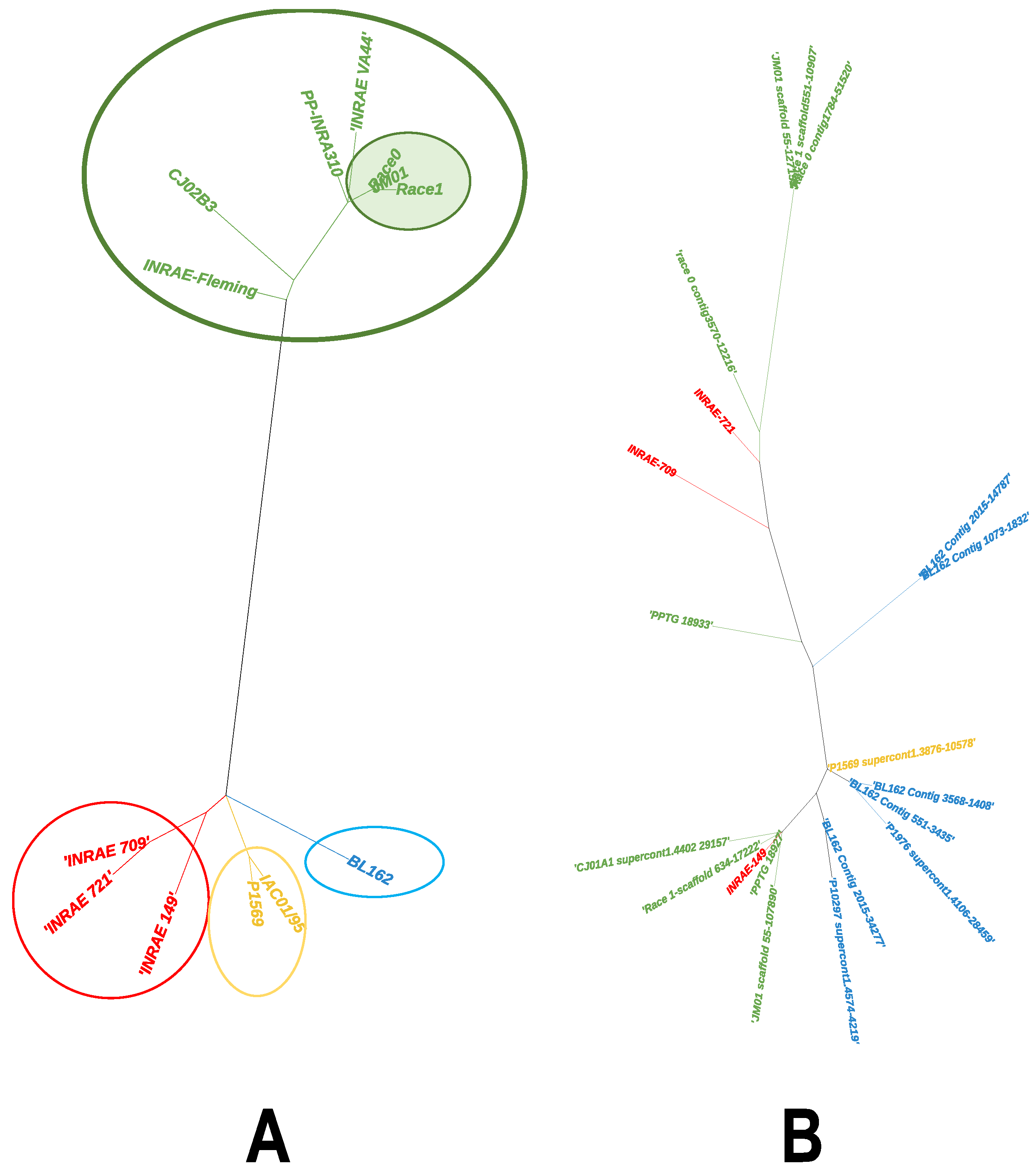 Microorganisms 10 00281 g002 550