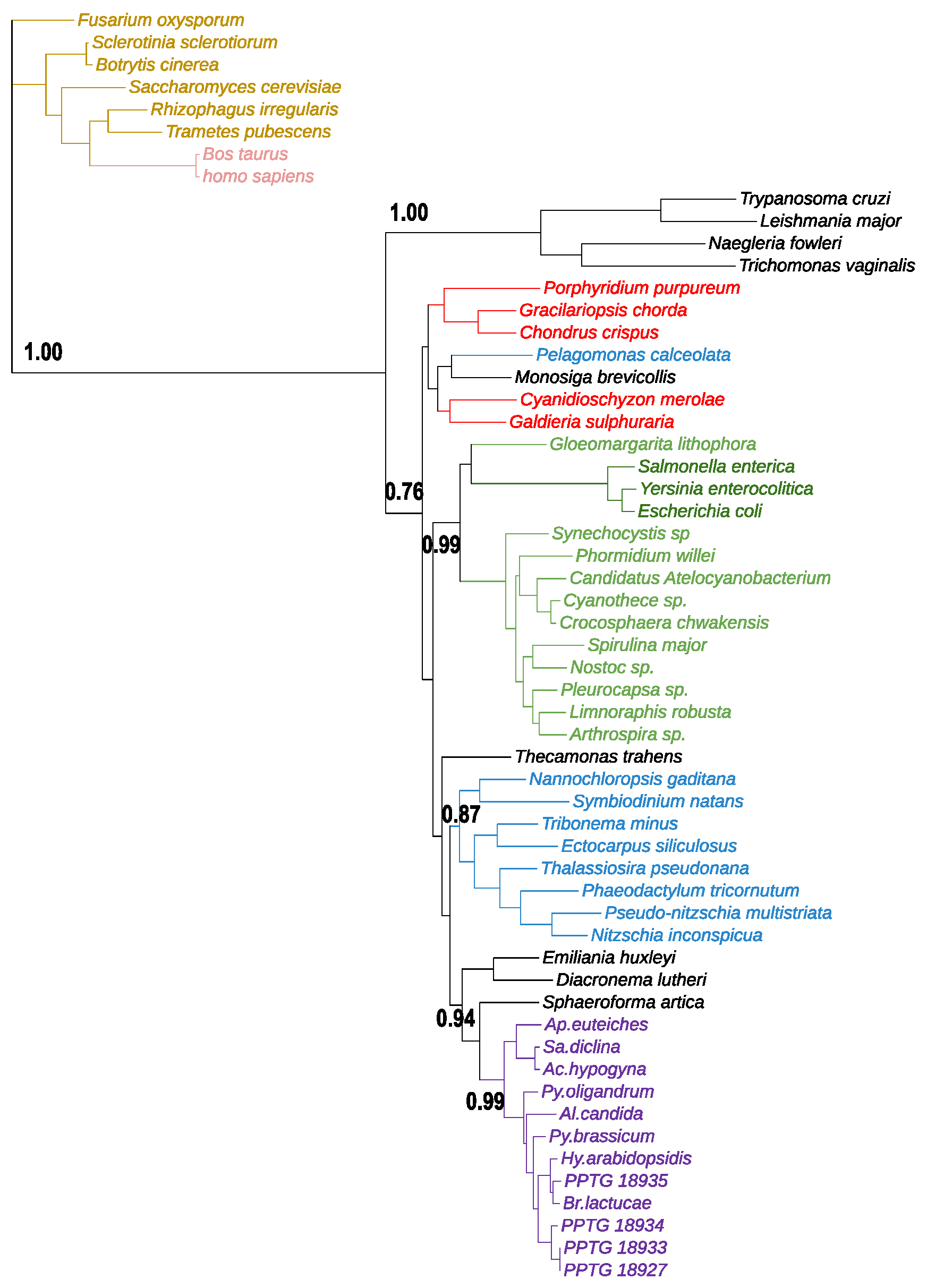 Microorganisms 10 00281 g004 550