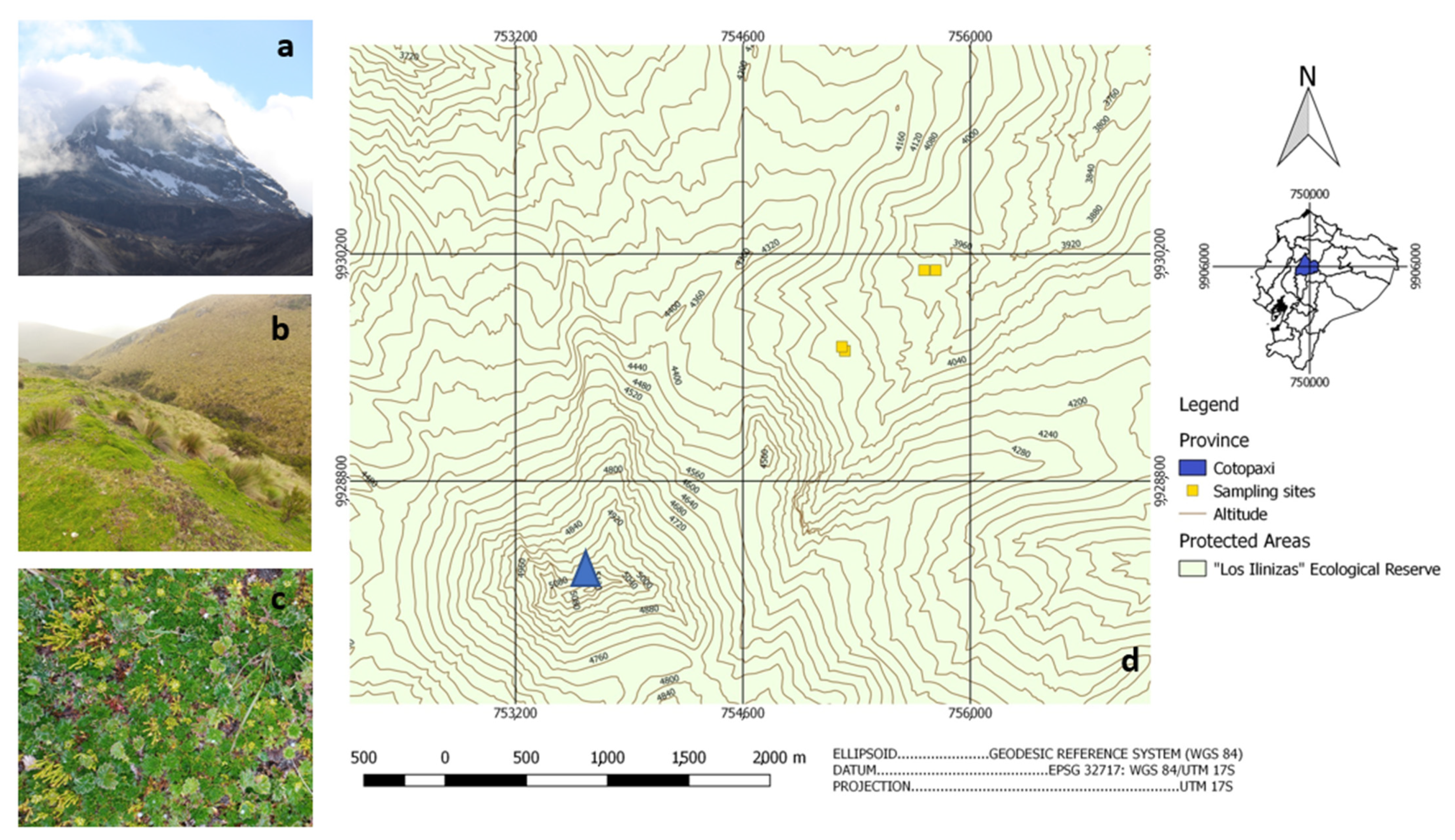 Microorganisms 10 00282 g001 Microorganisms 10 00282 g001