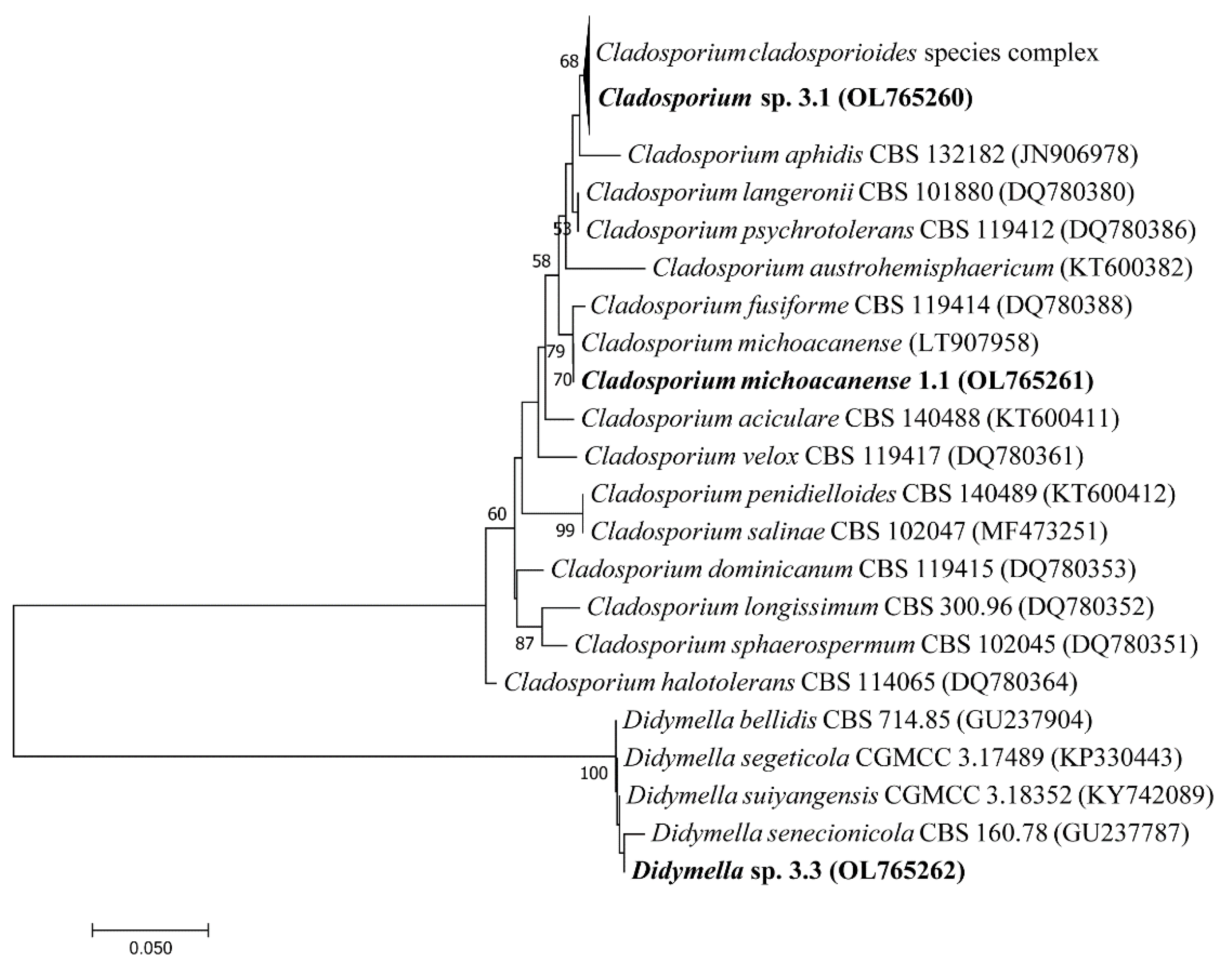 Microorganisms 10 00282 g002 Microorganisms 10 00282 g002