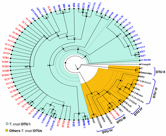 Microorganisms 10 00287 g003