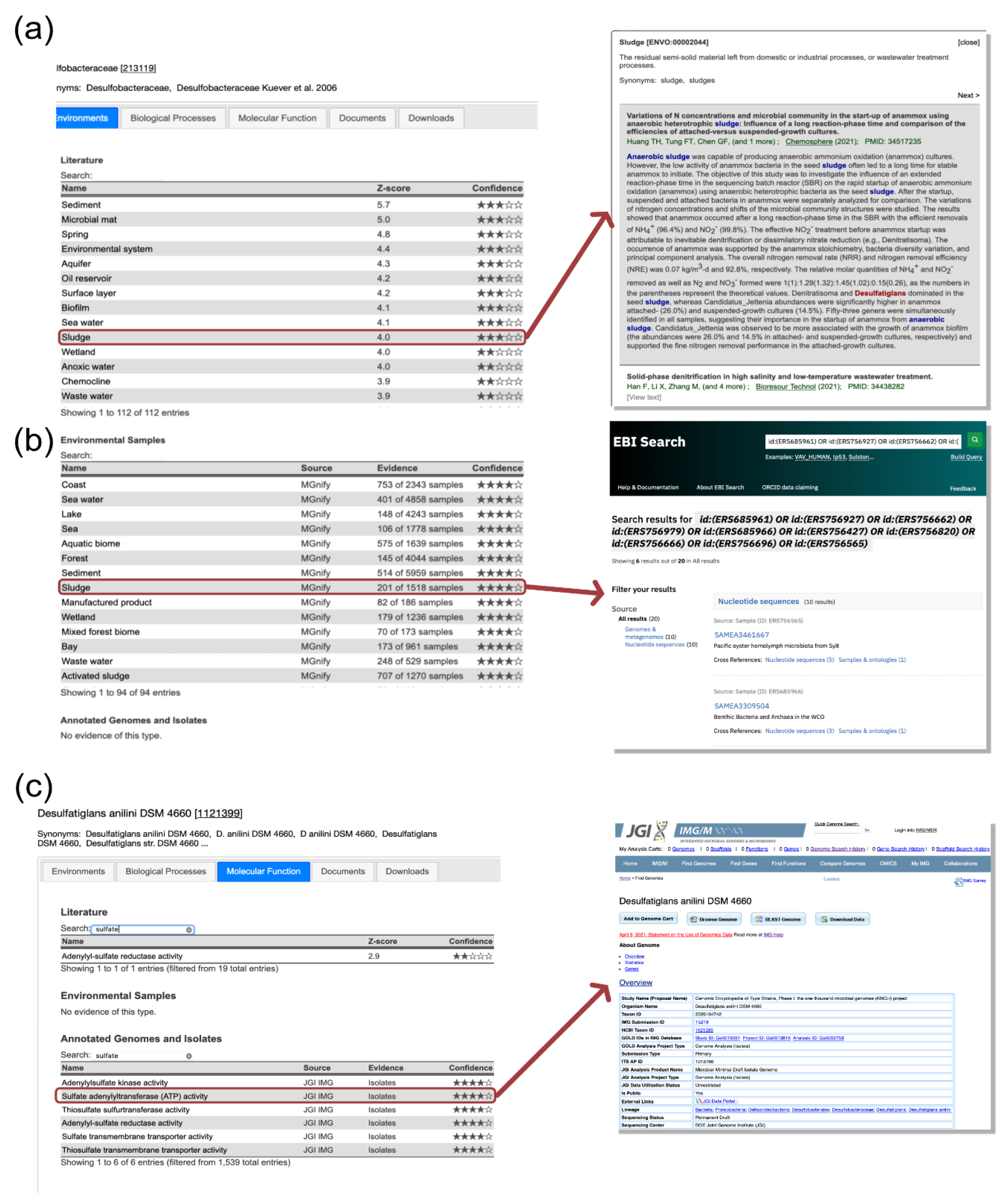 Microorganisms 10 00293 g003