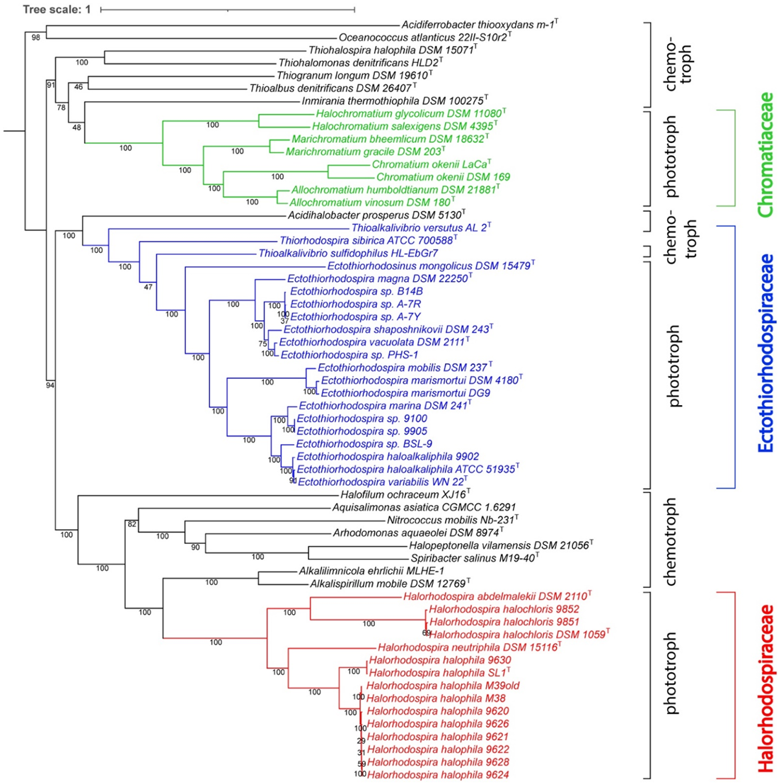 Microorganisms 10 00295 g001 Microorganisms 10 00295 g001