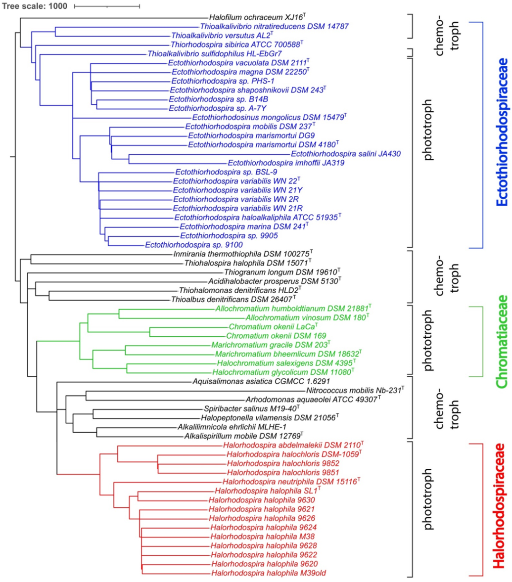 Microorganisms 10 00295 g002 Microorganisms 10 00295 g002