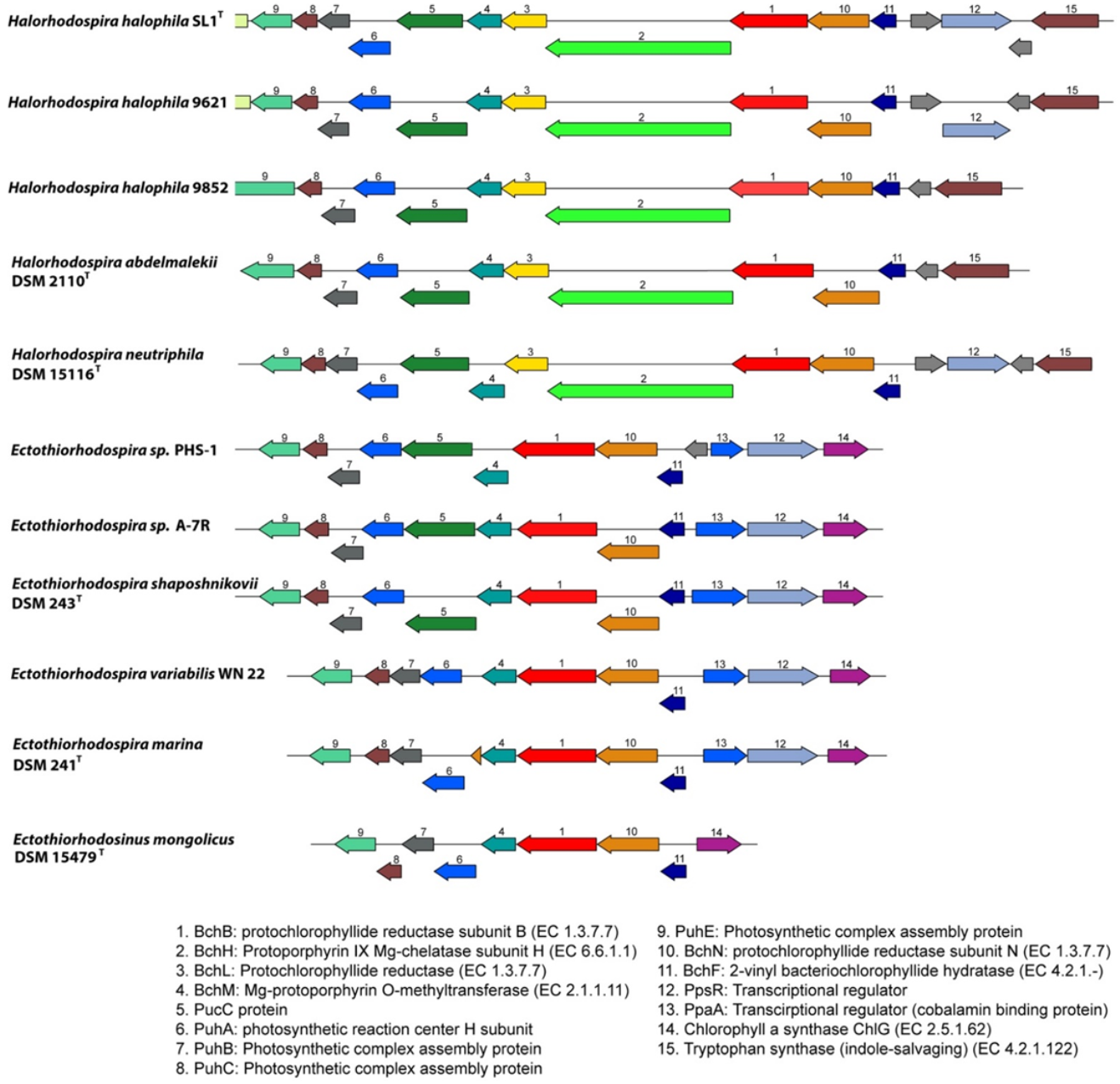 Microorganisms 10 00295 g003 Microorganisms 10 00295 g003