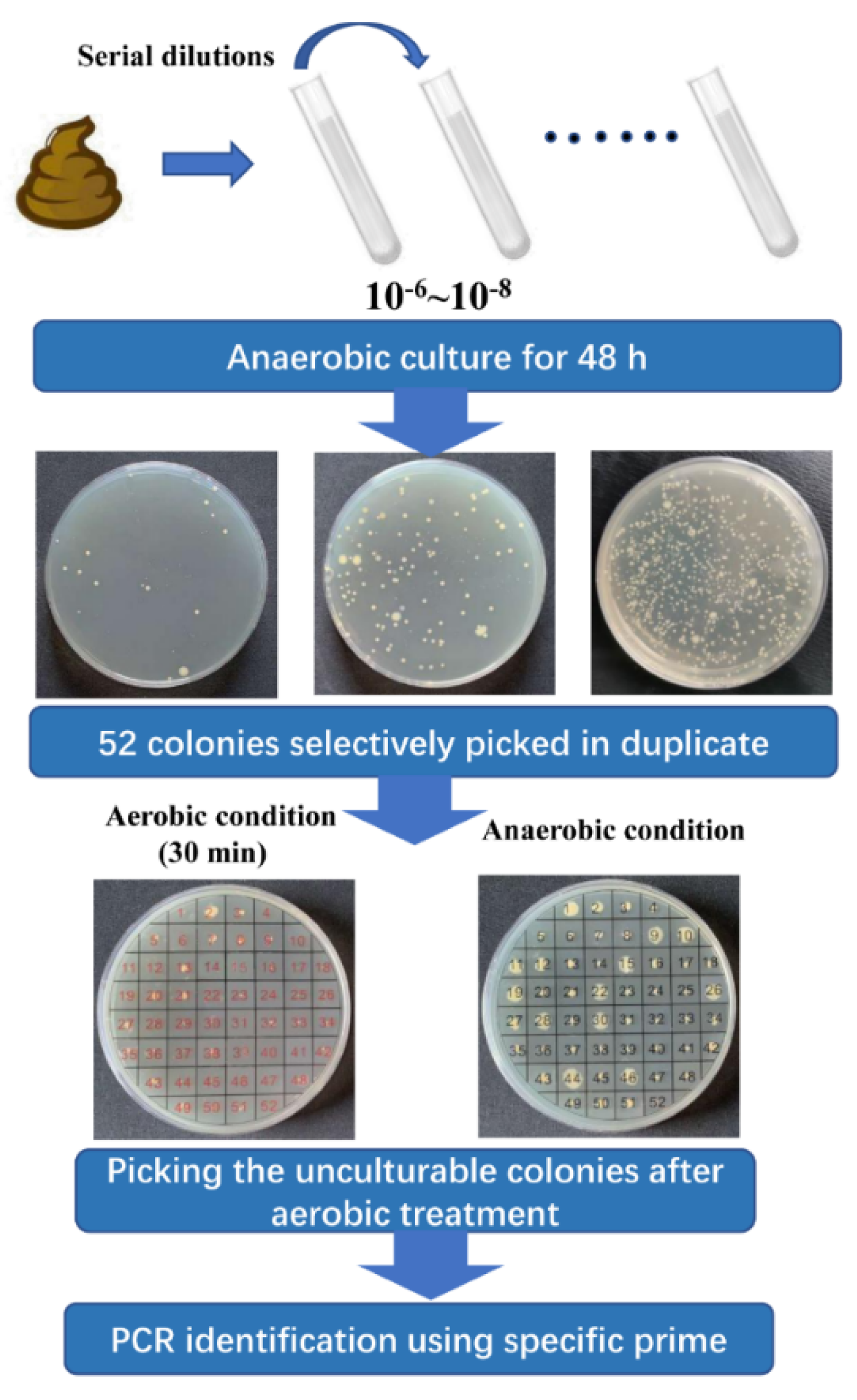 Microorganisms 10 00297 g001