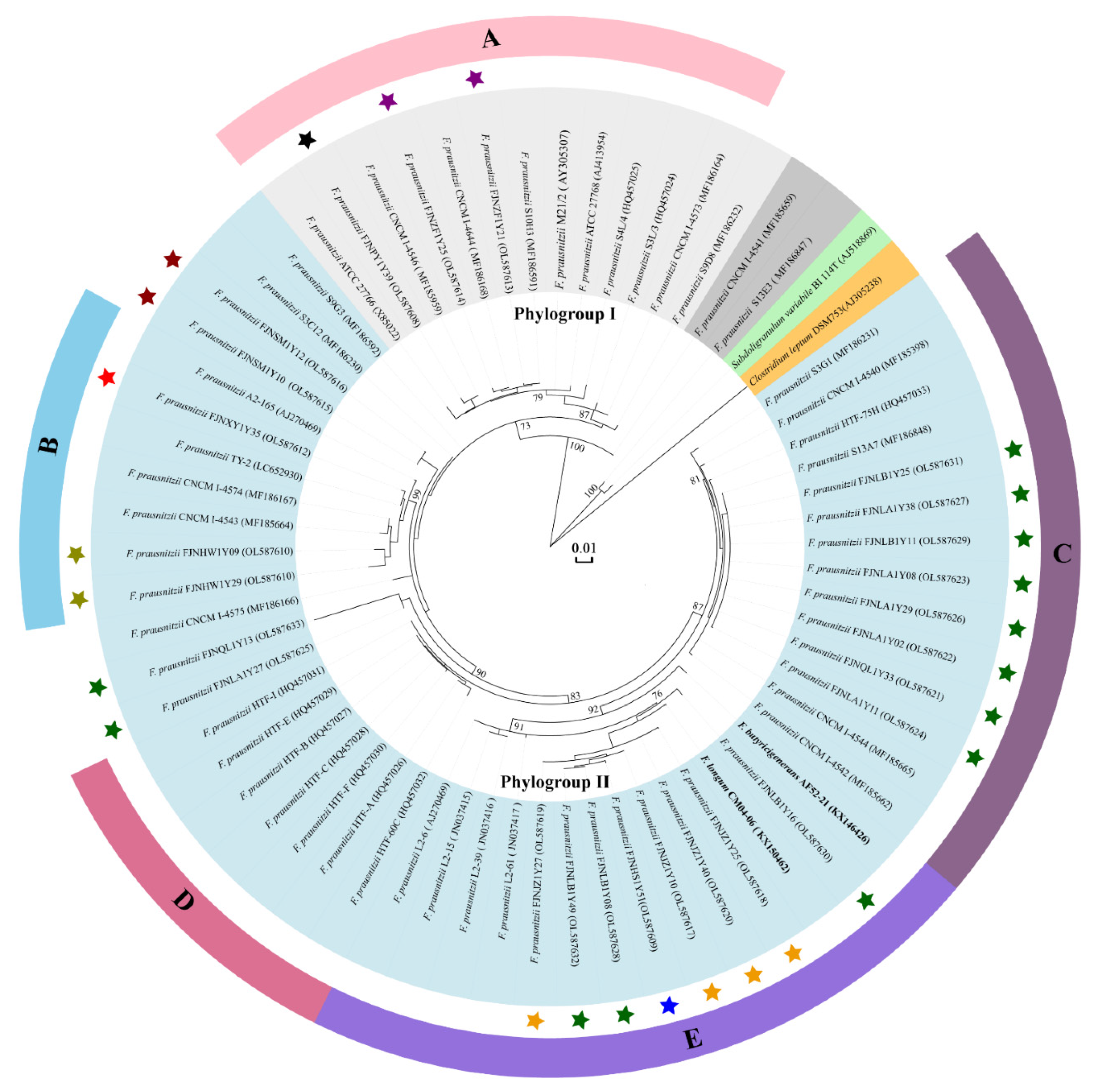 Microorganisms 10 00297 g003
