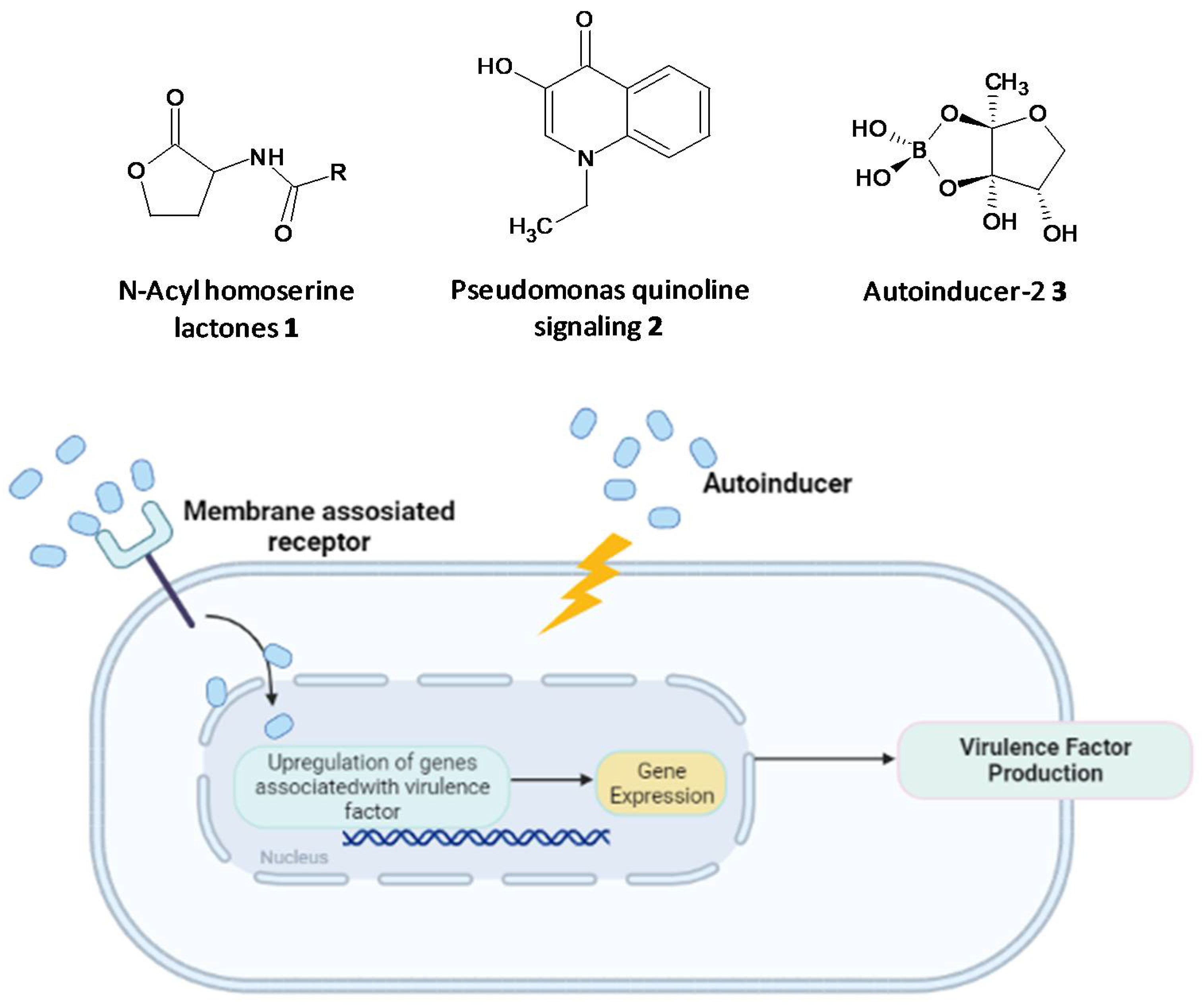 Microorganisms 10 00303 g002