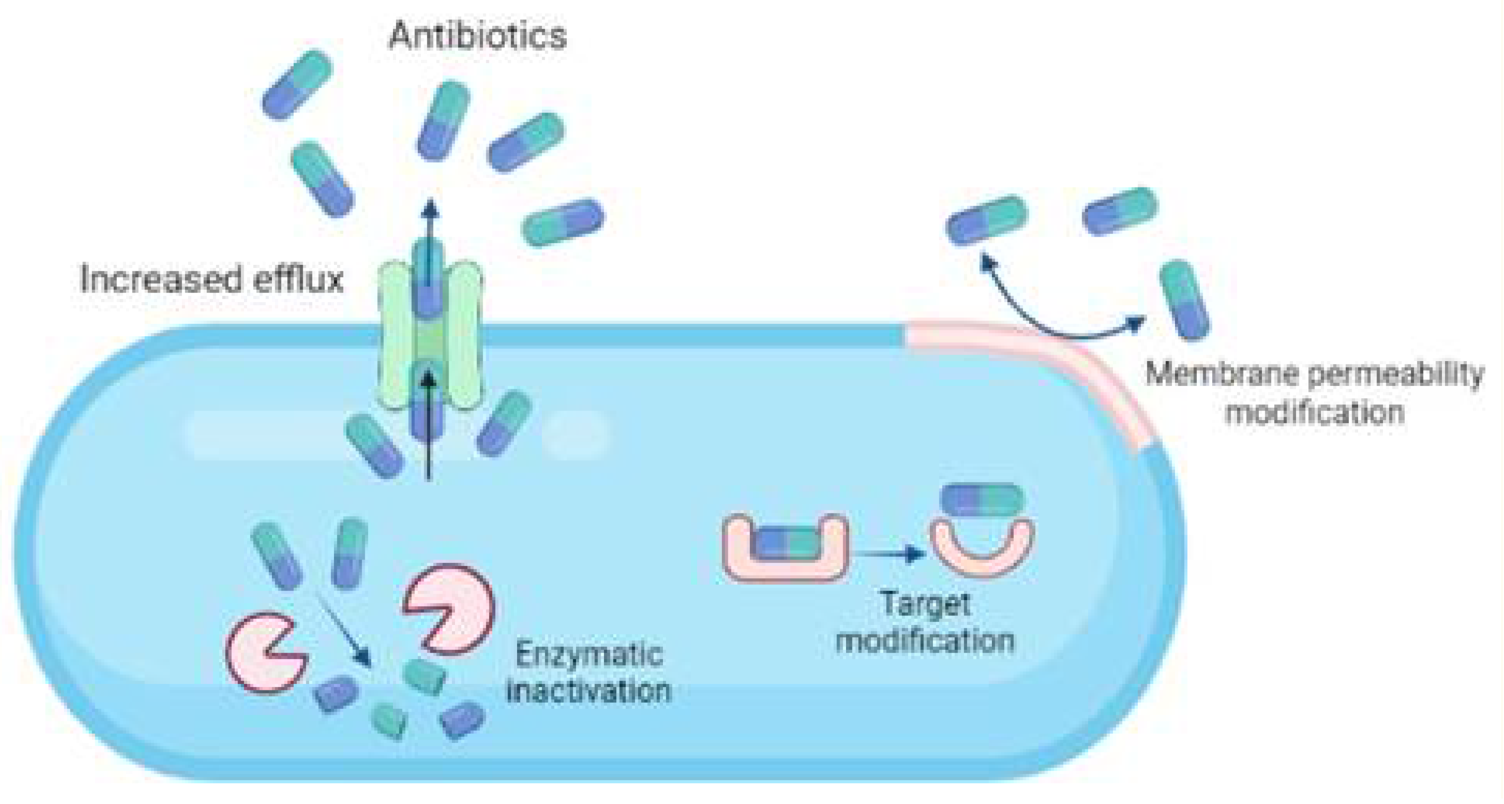 Microorganisms 10 00303 g003