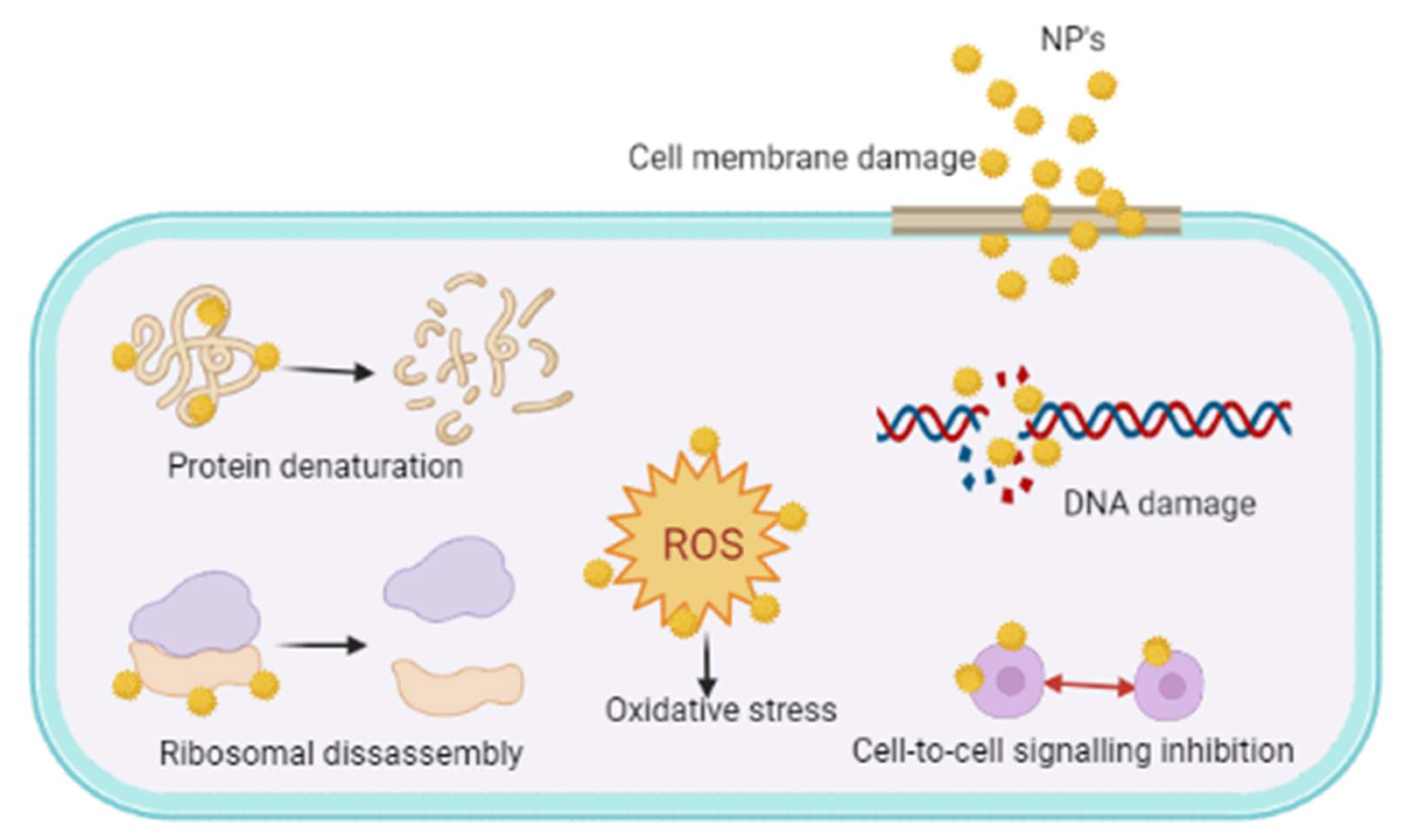 Microorganisms 10 00303 g014