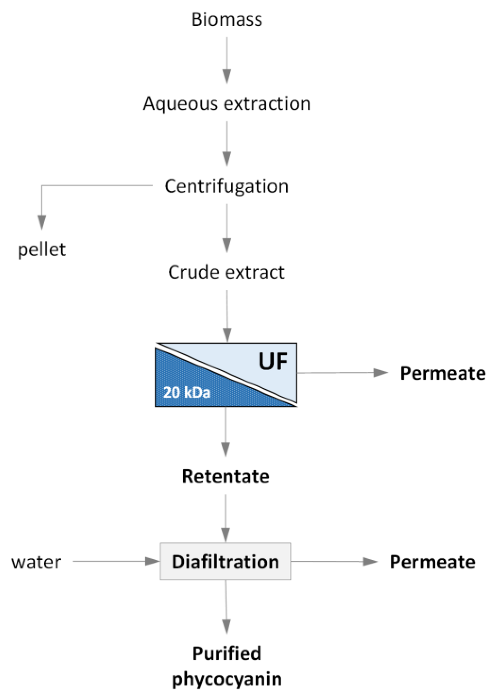 Microorganisms 10 00308 g001