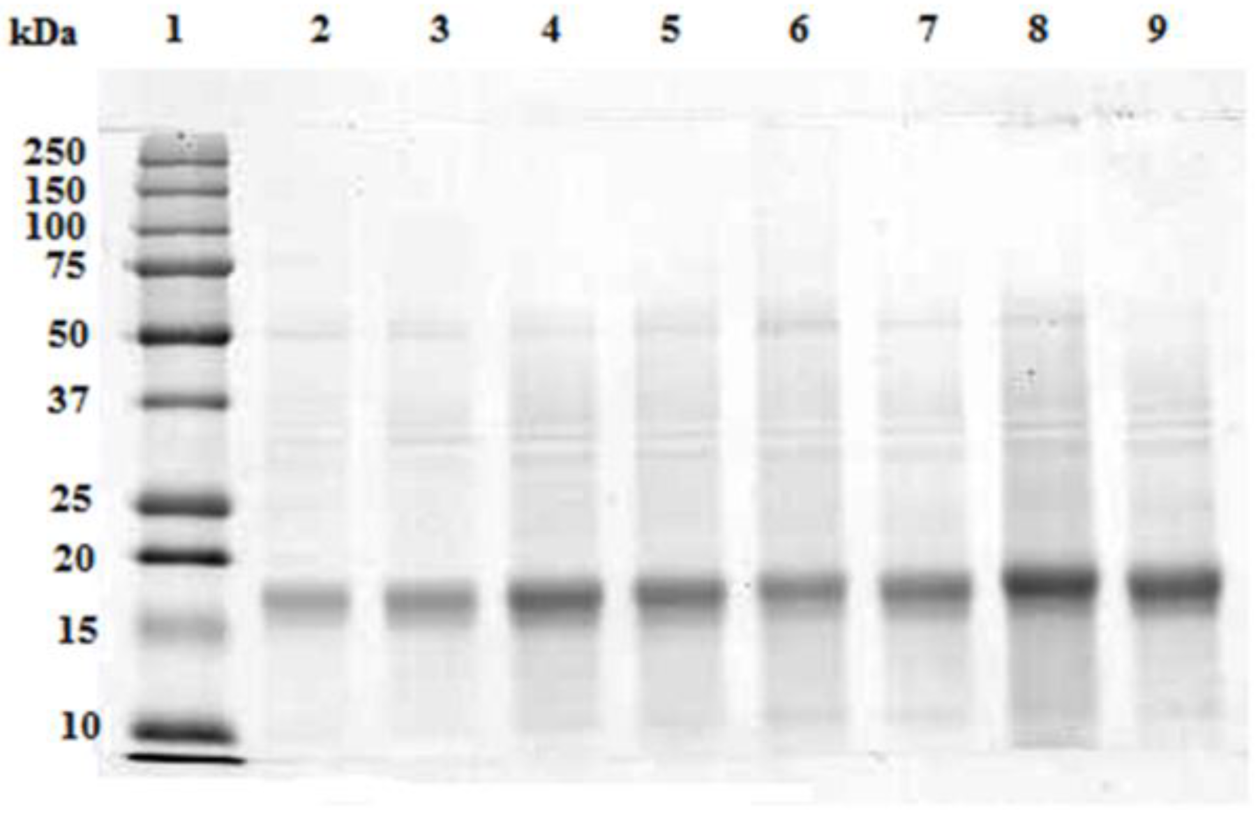 Microorganisms 10 00308 g003