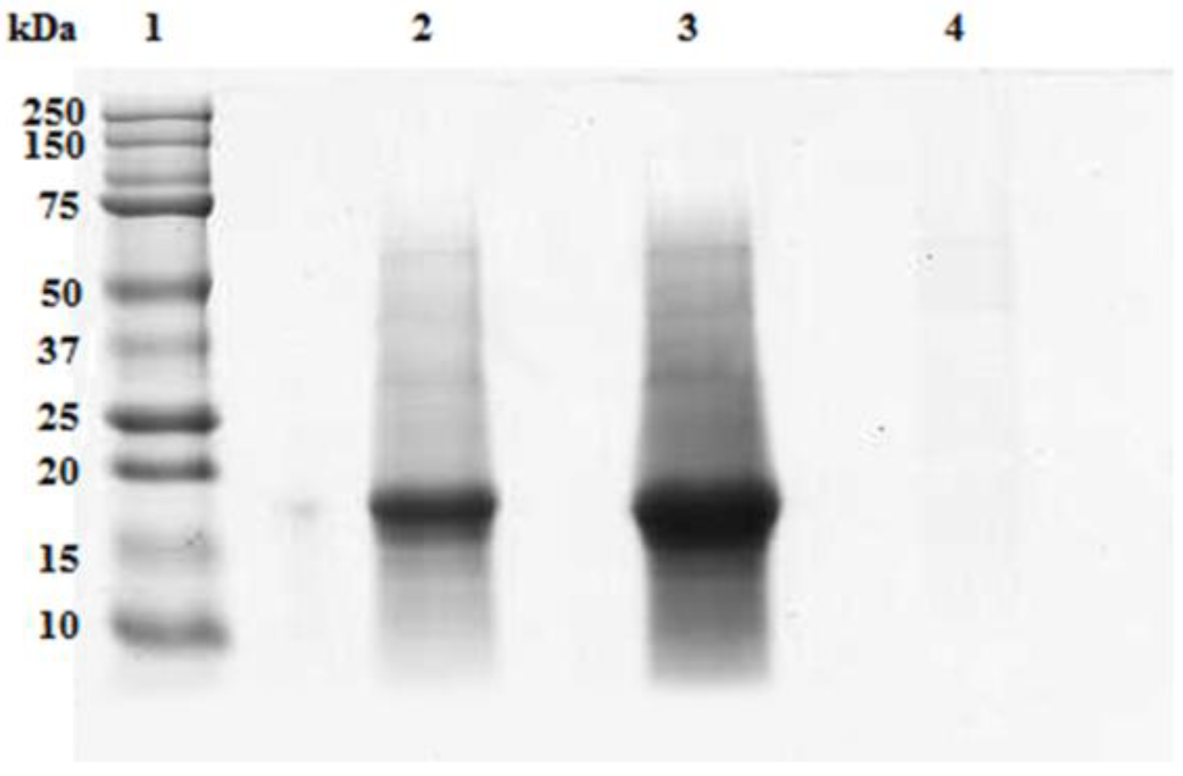 Microorganisms 10 00308 g008