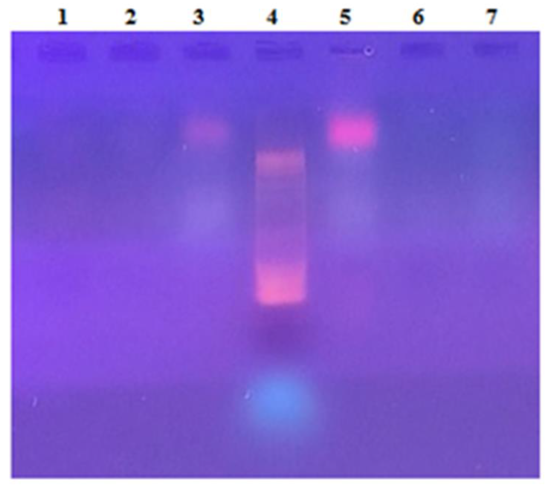 Microorganisms 10 00308 g010