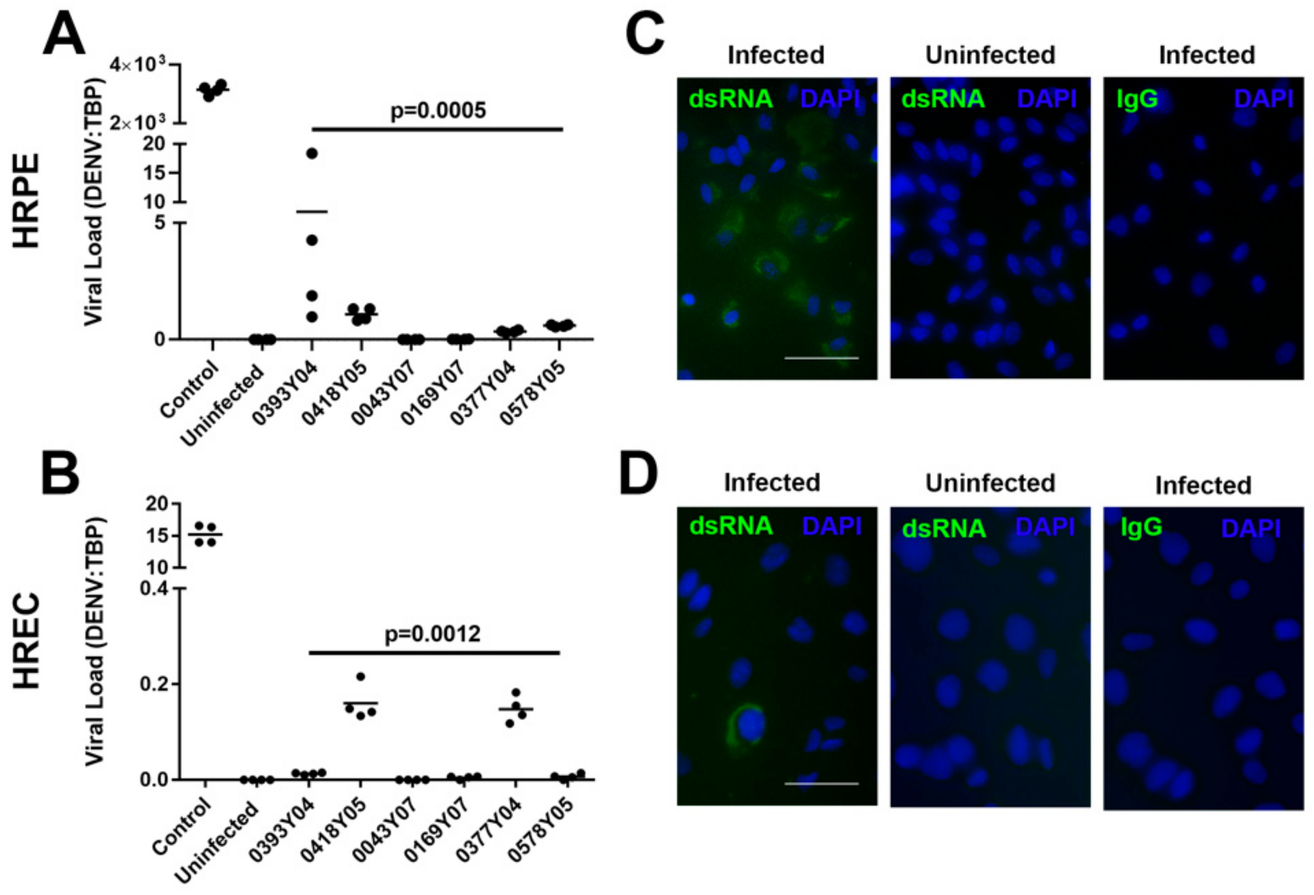 Microorganisms 10 00310 g001 Microorganisms 10 00310 g001