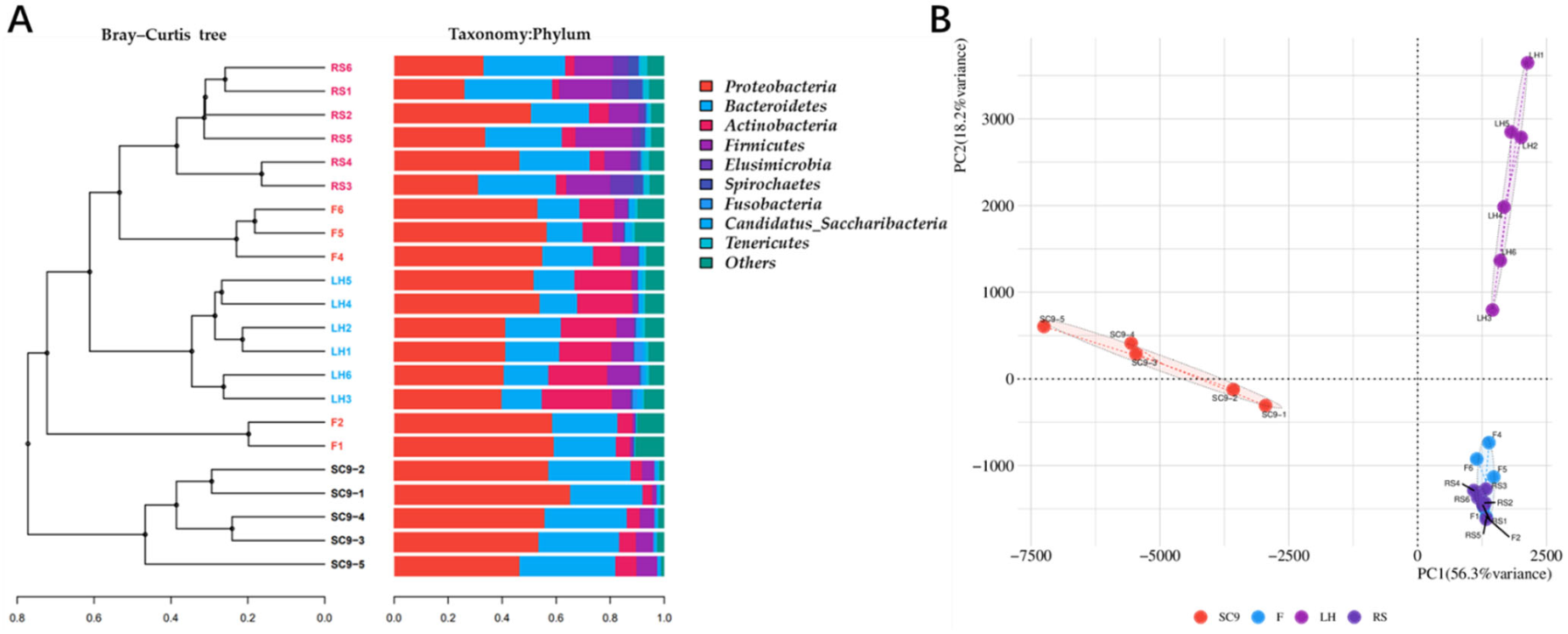 Microorganisms 10 00311 g001 550