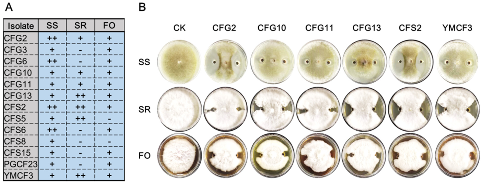 Microorganisms 10 00311 g004 550