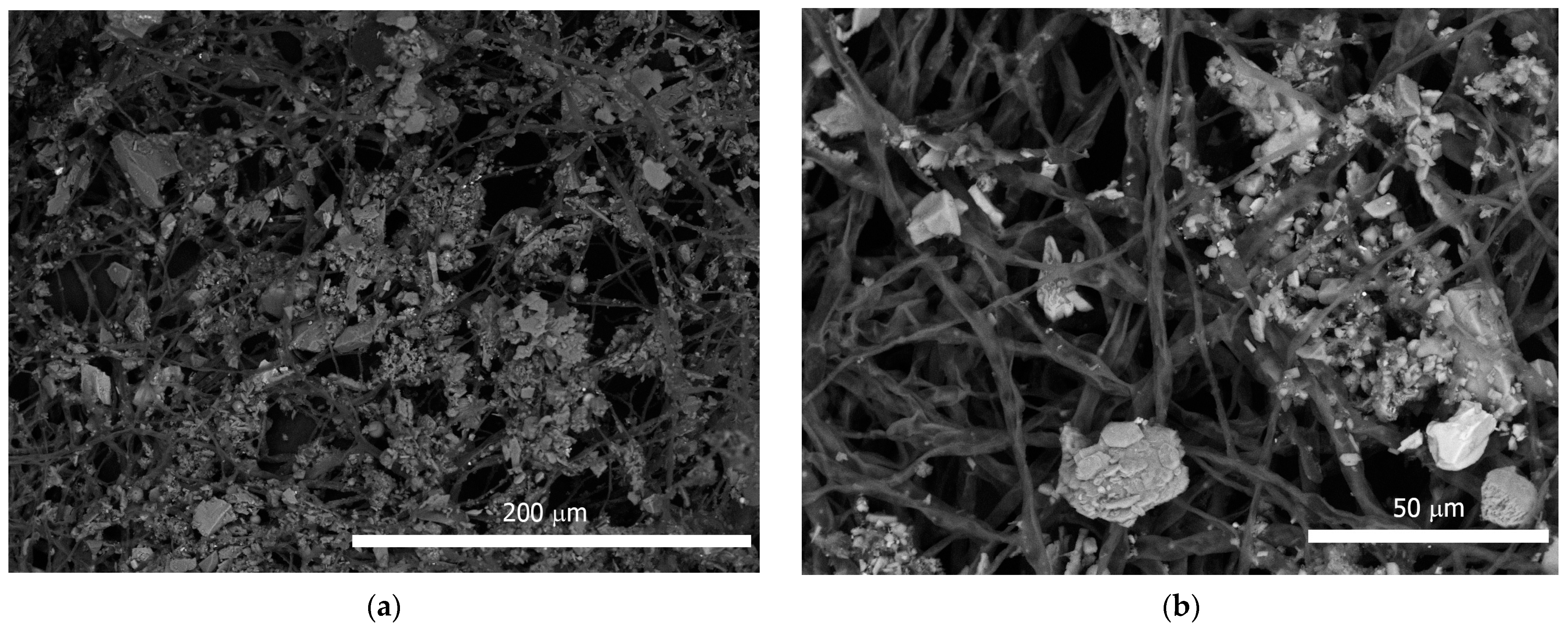 Microorganisms 10 00316 g003a