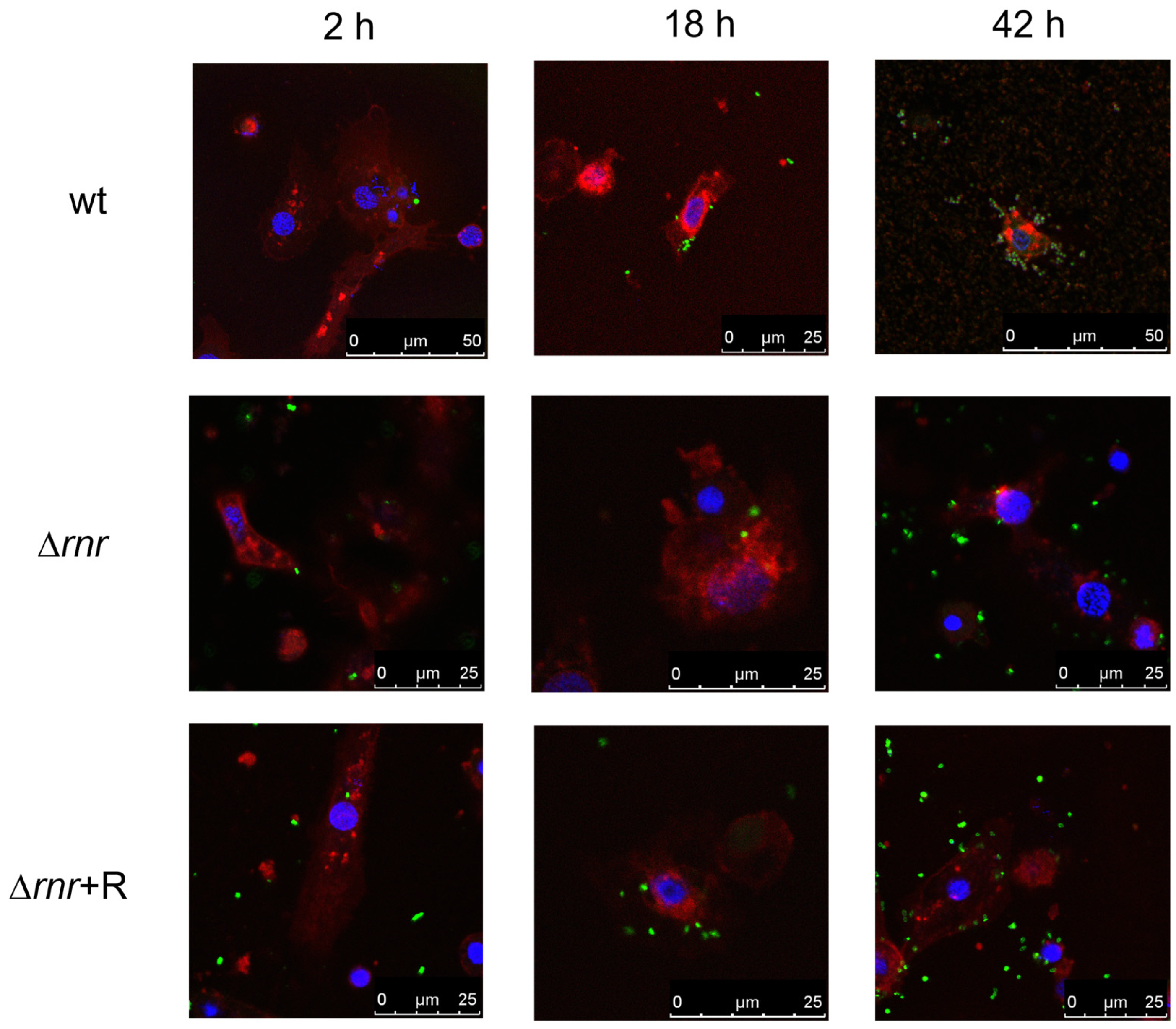 Microorganisms 10 00317 g004 550