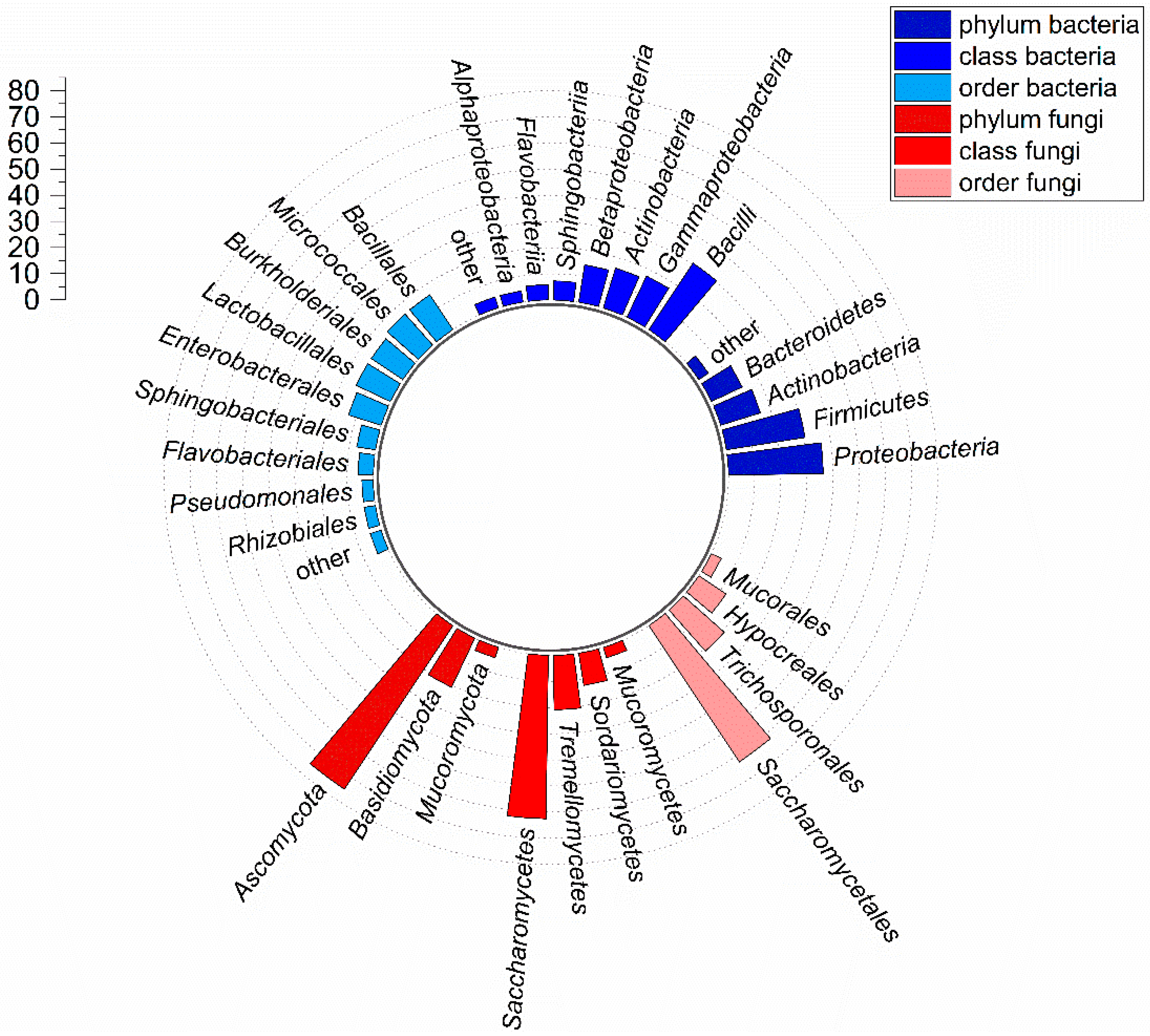 Microorganisms 10 00319 g002