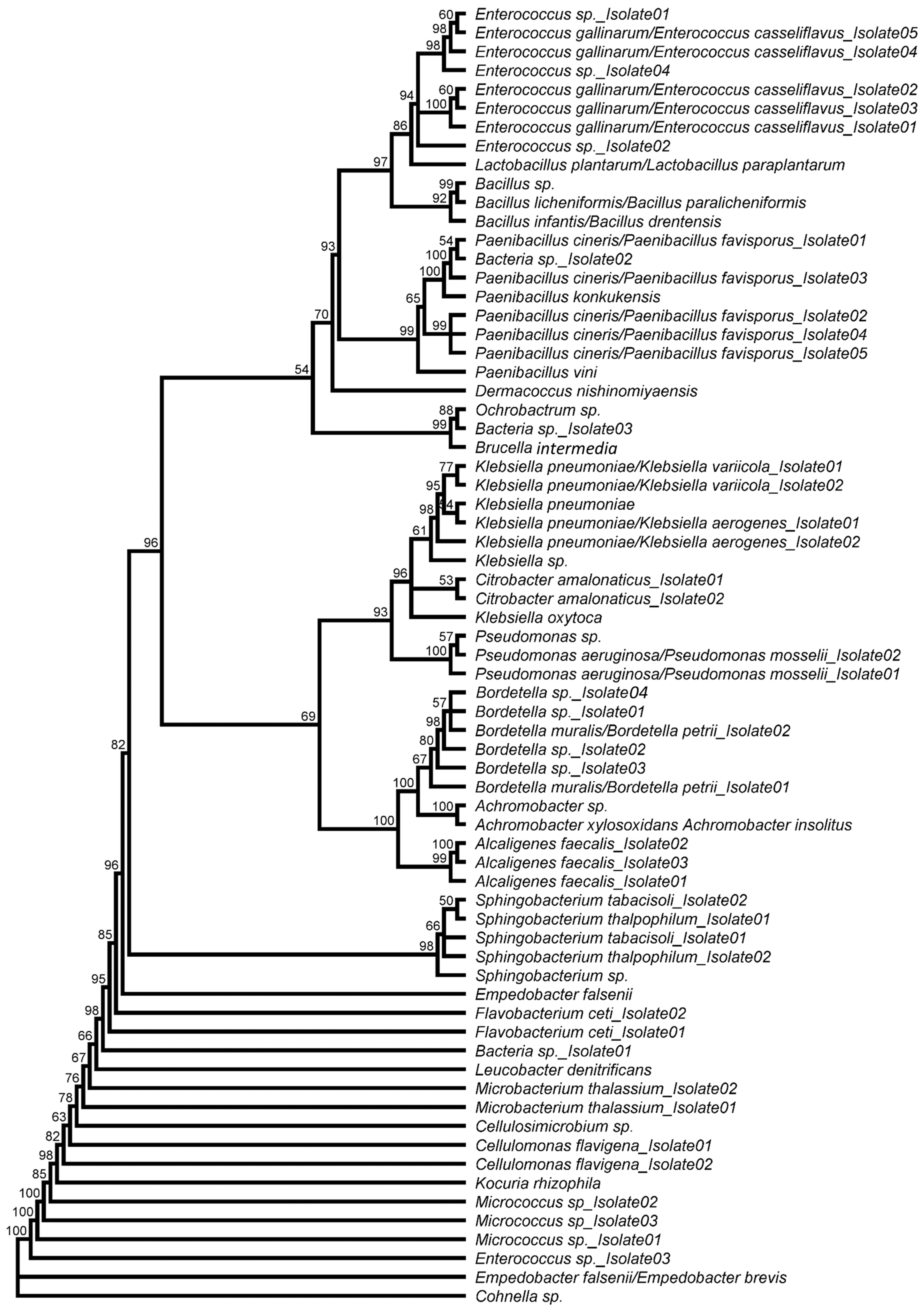 Microorganisms 10 00319 g003