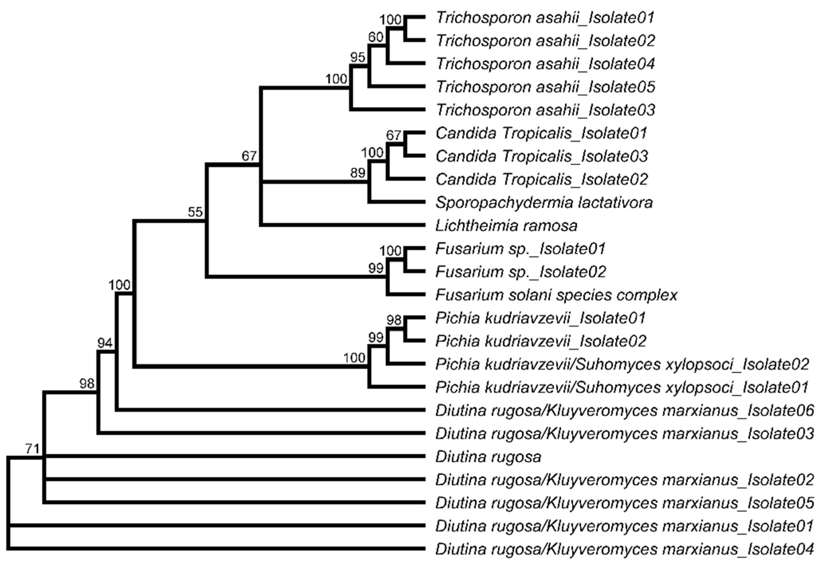 Microorganisms 10 00319 g004