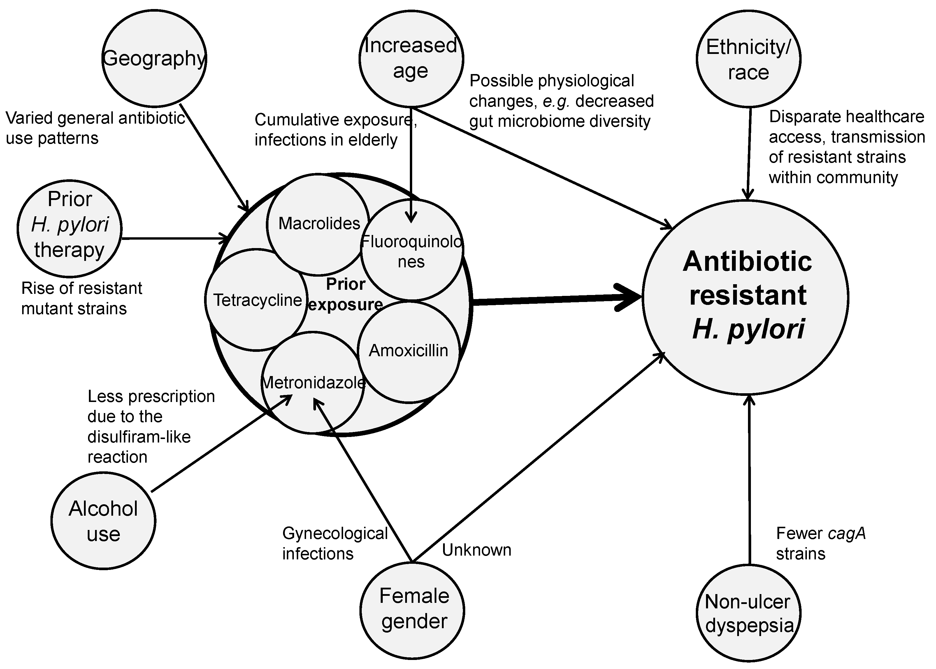 Microorganisms 10 00322 g002 Microorganisms 10 00322 g002