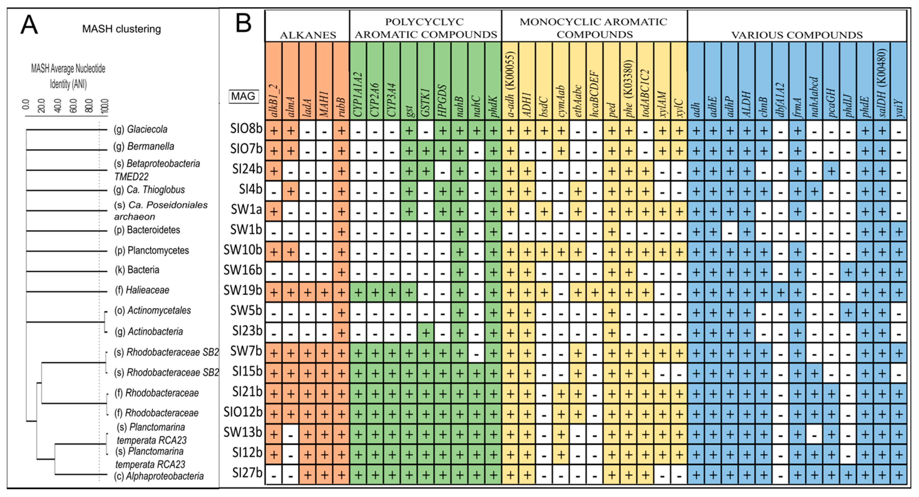 Microorganisms 10 00328 g008